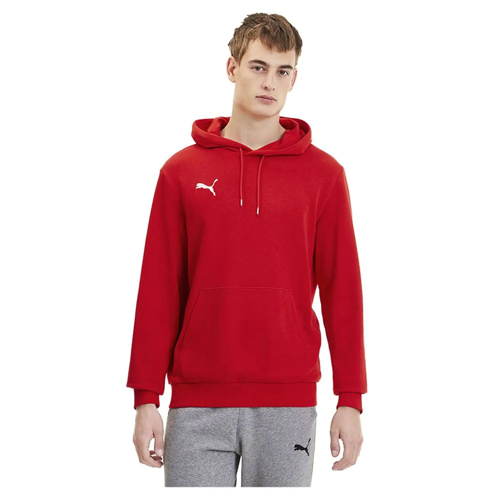 Puma Teamgoal 23 Causals Hoodie