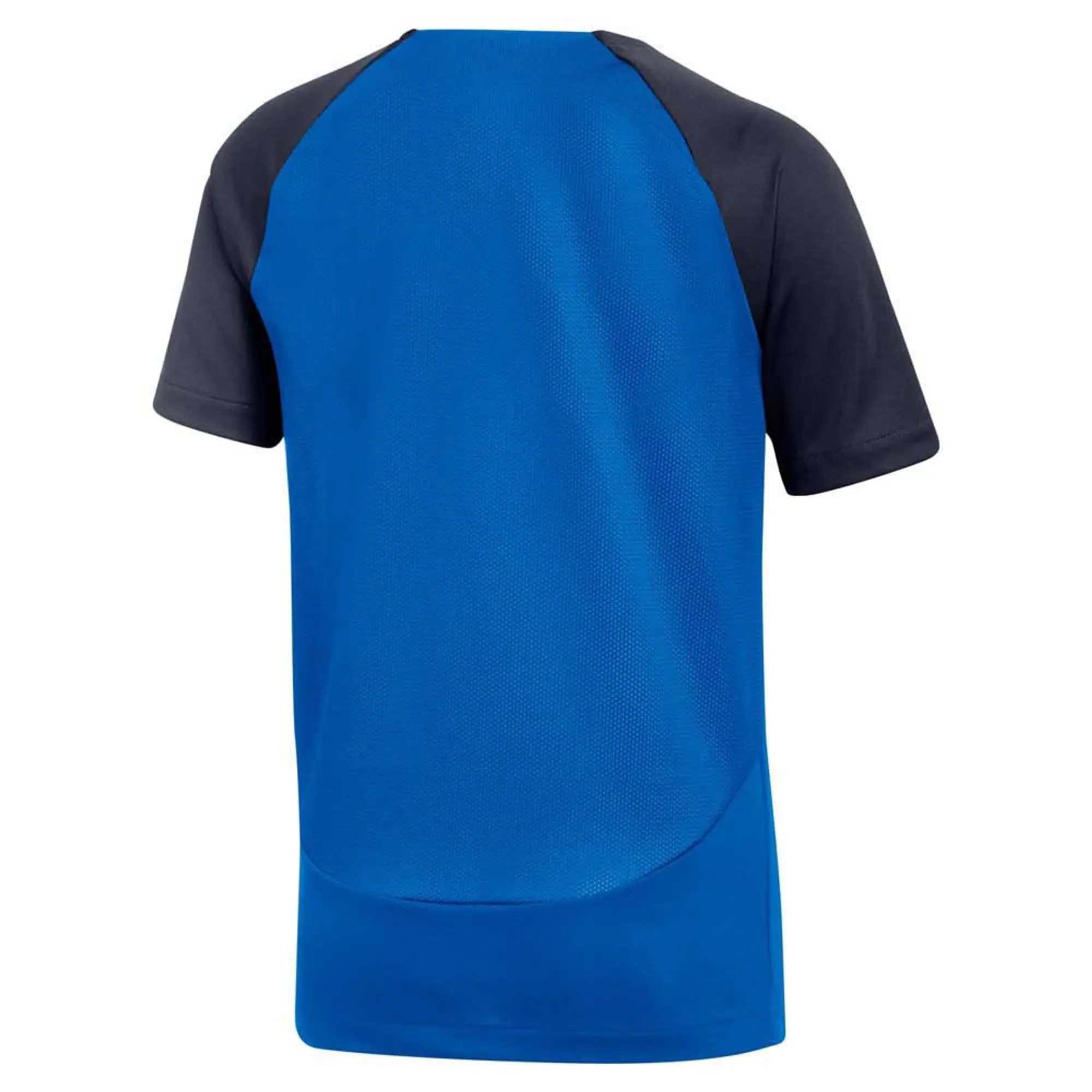 Nike Dri Fit Junior Academy Pro SS Top K