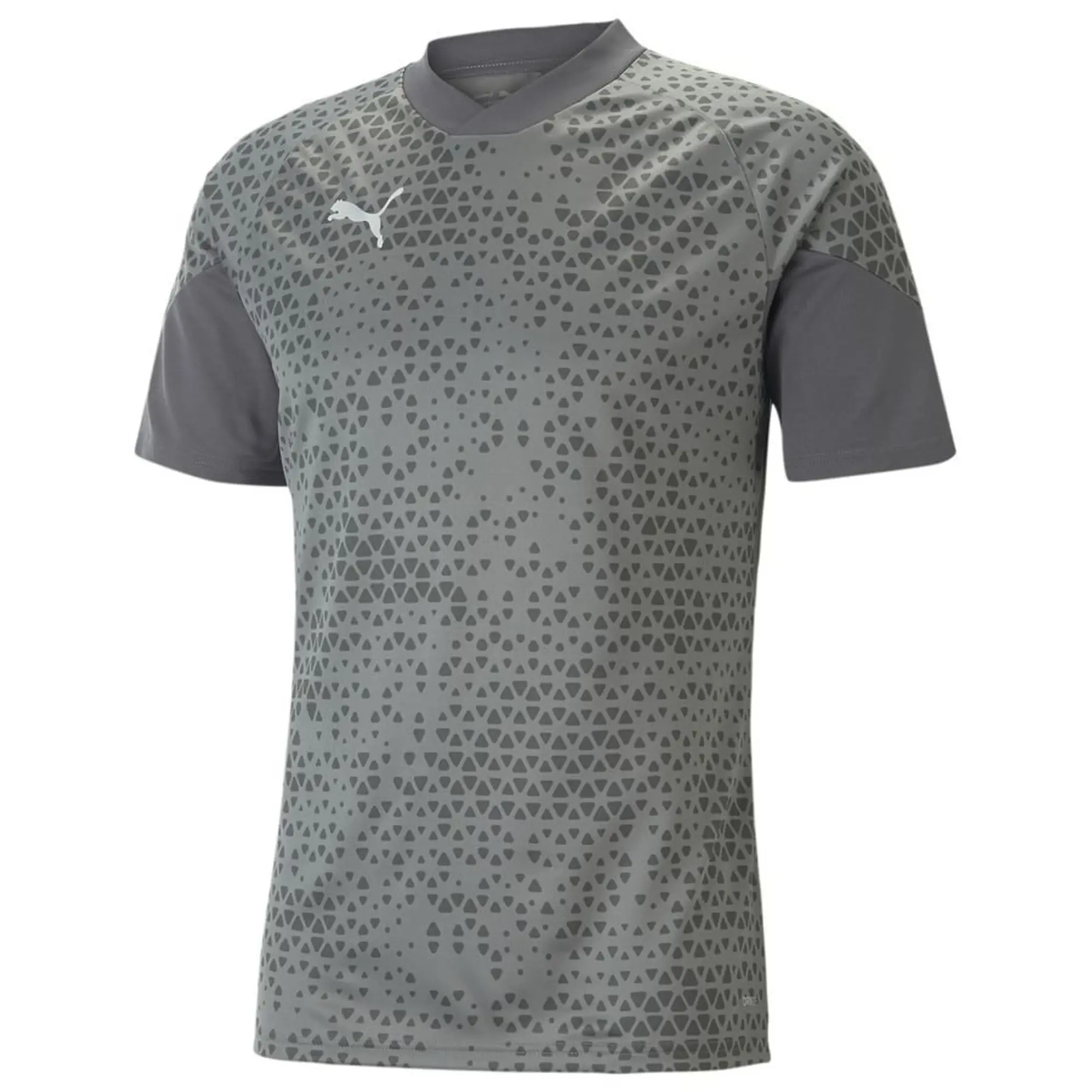 Puma teamCUP 23 Slim SS Training Shirt