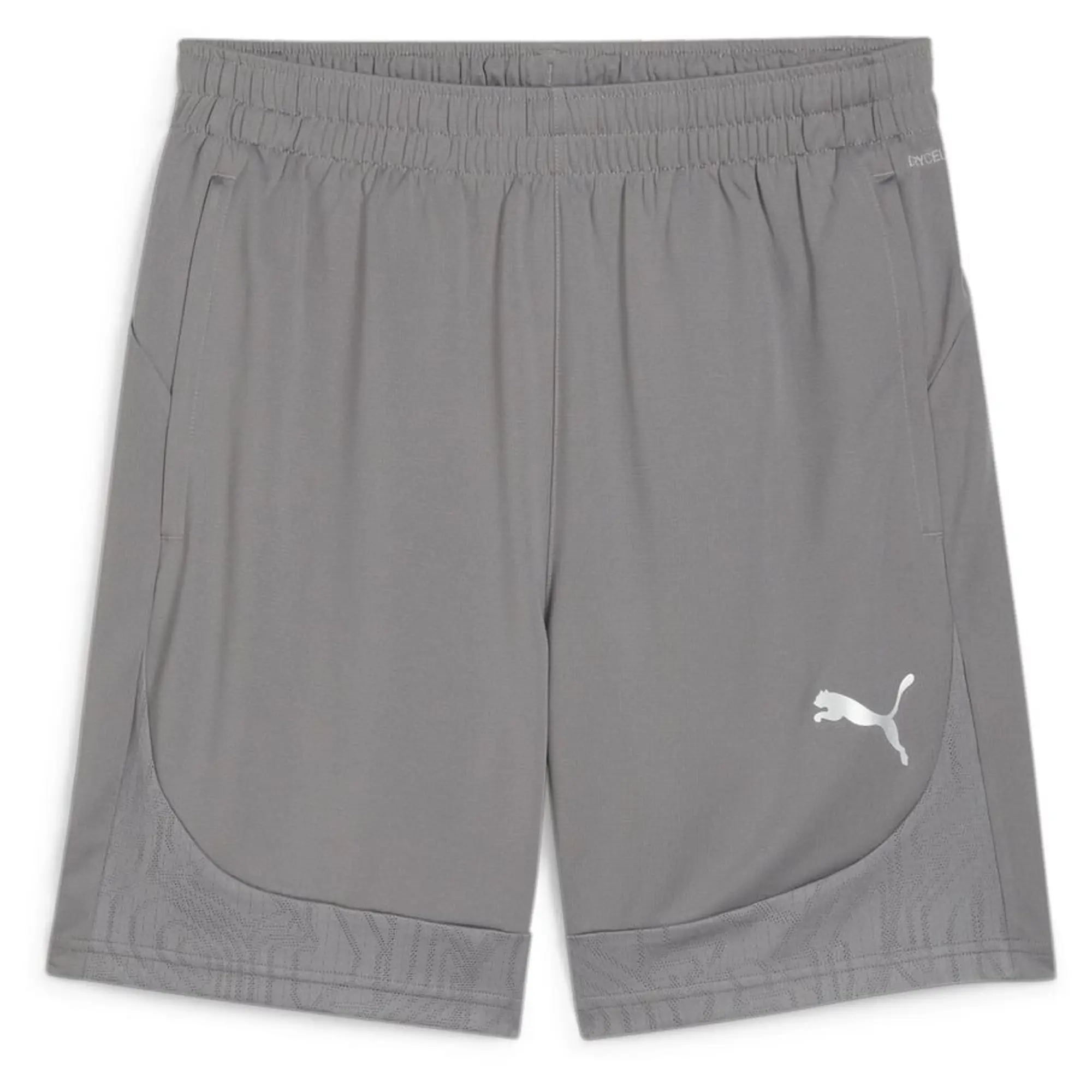 Teamfinal Training Shorts Cast Iron-Puma Silver - ['Grey']