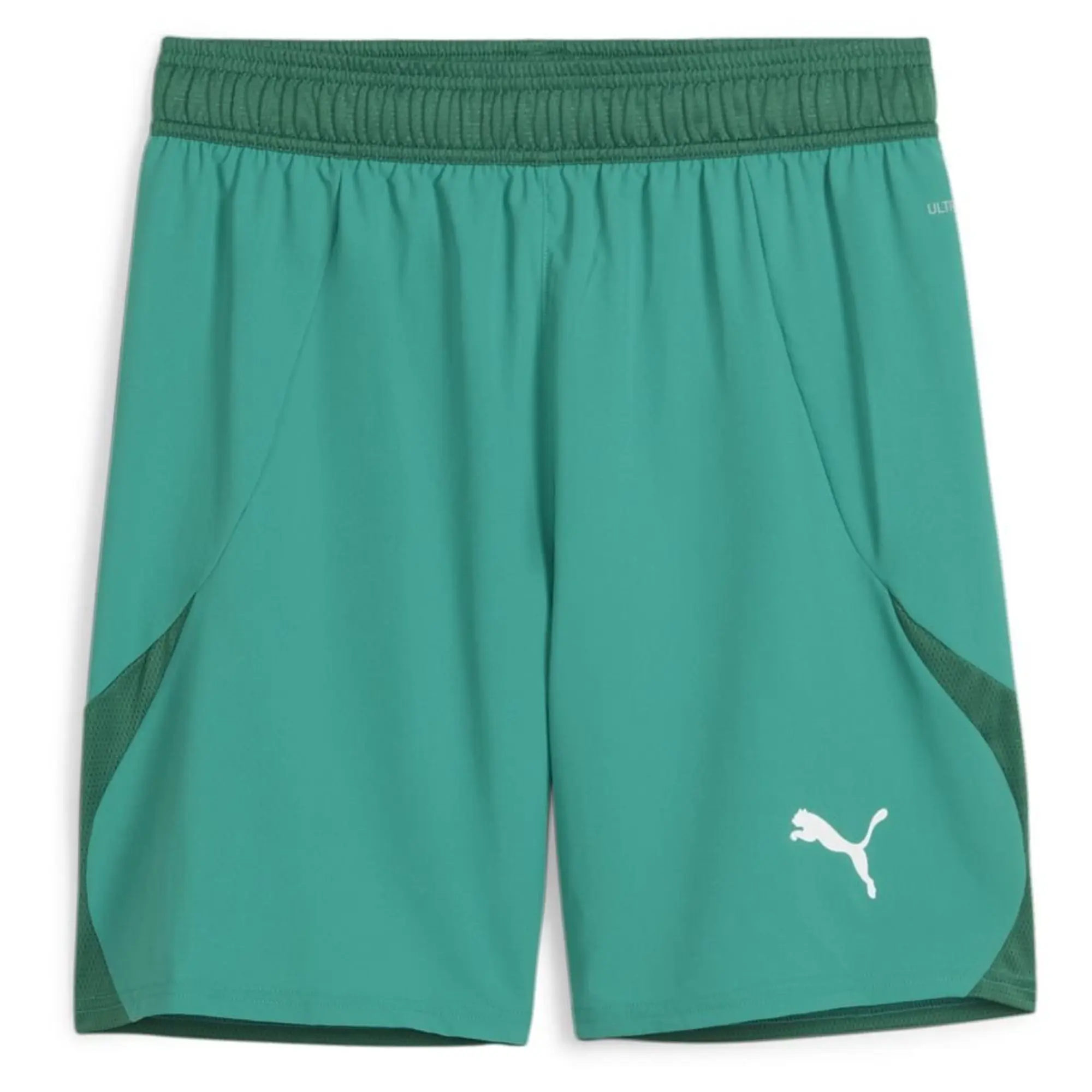 Teamfinal Shorts Sport Green-Puma White-Power Green - ['Green']