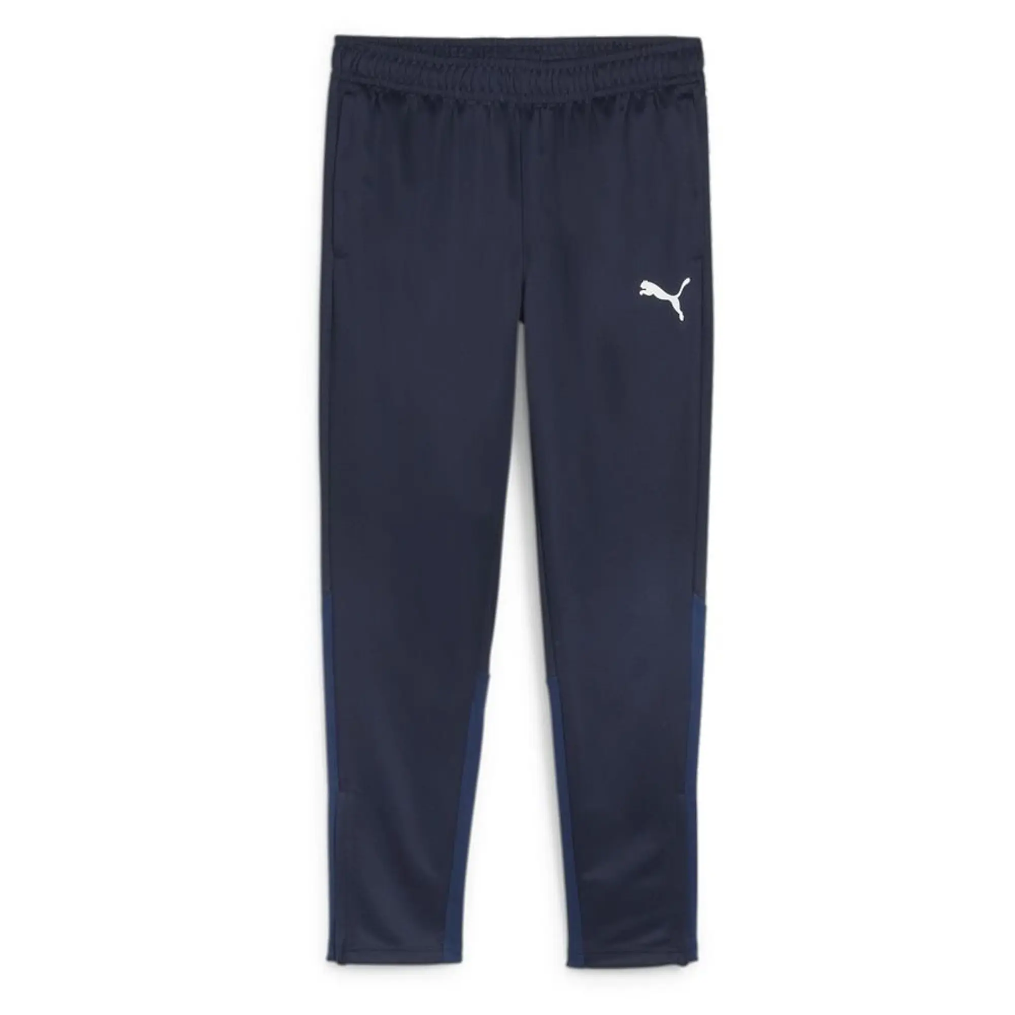 Puma Training Trousers Teamgoal - ['Blue']
