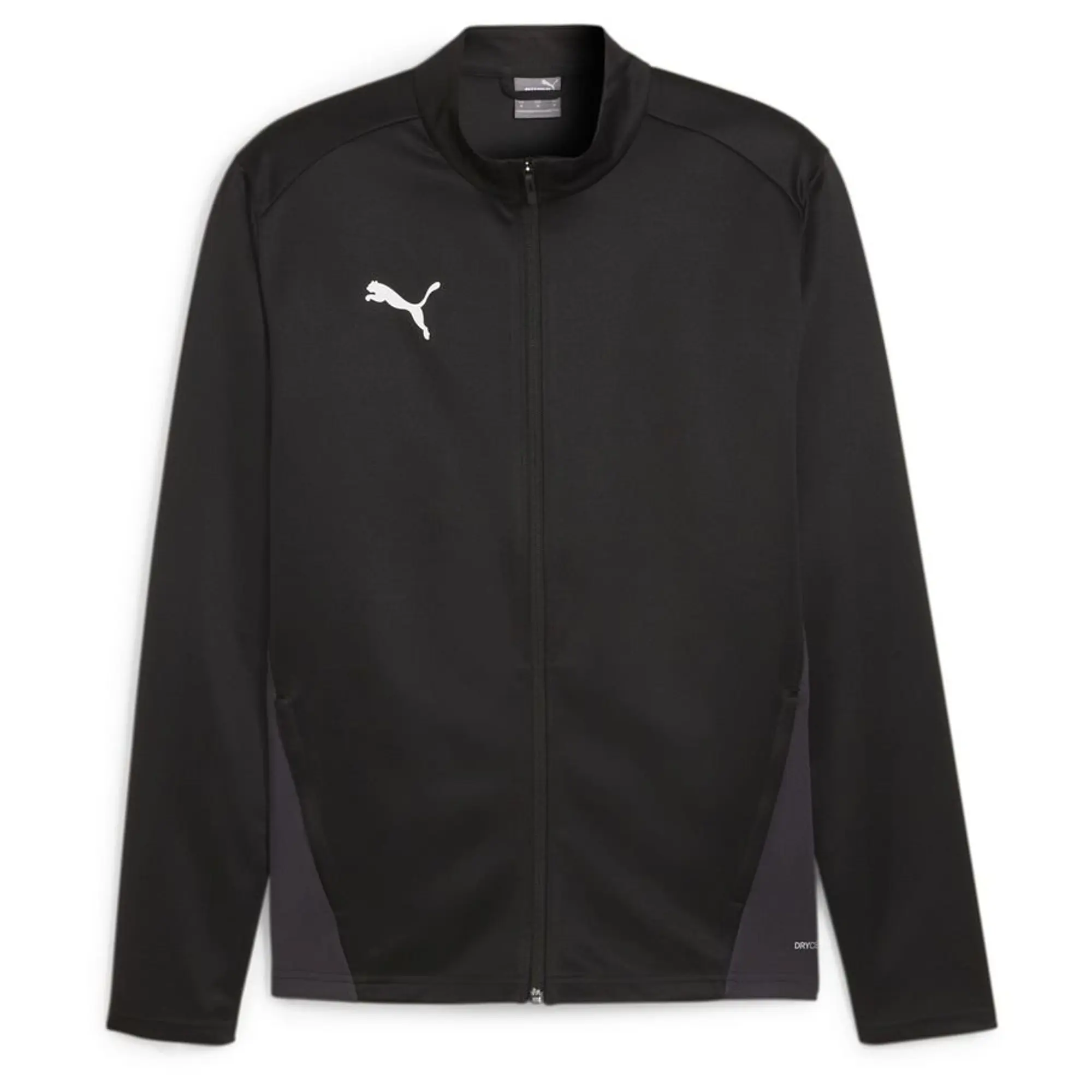 Puma teamGOAL 24 Training Jacket