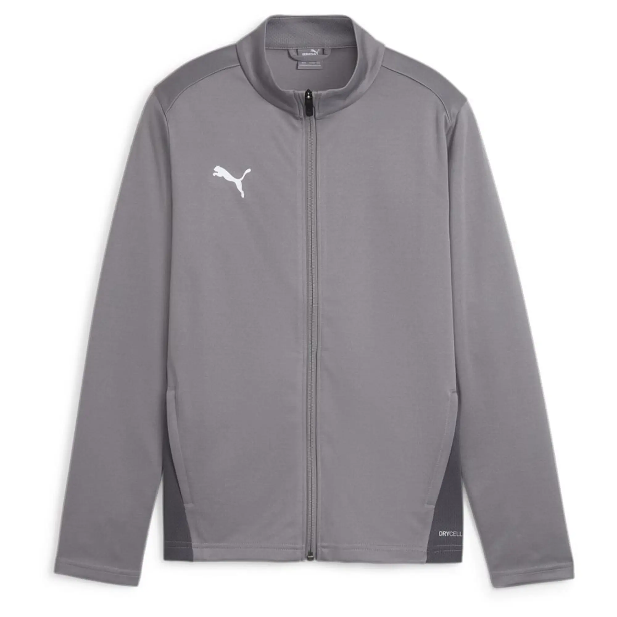 Puma Training Jacket Teamgoal - ['Grey']