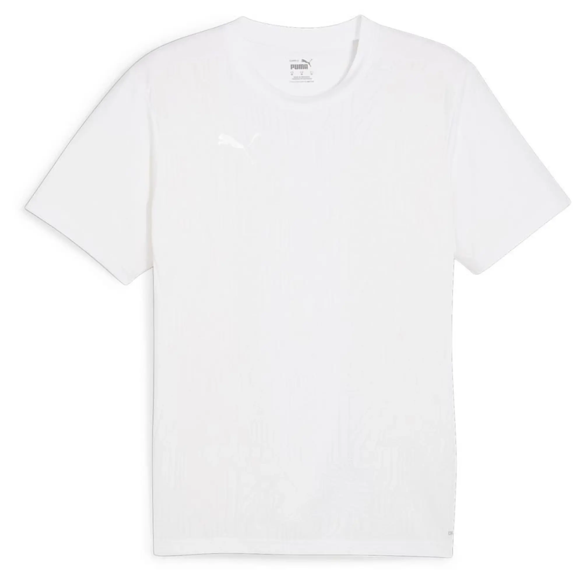 Puma teamFINAL 24 SS Training Shirt