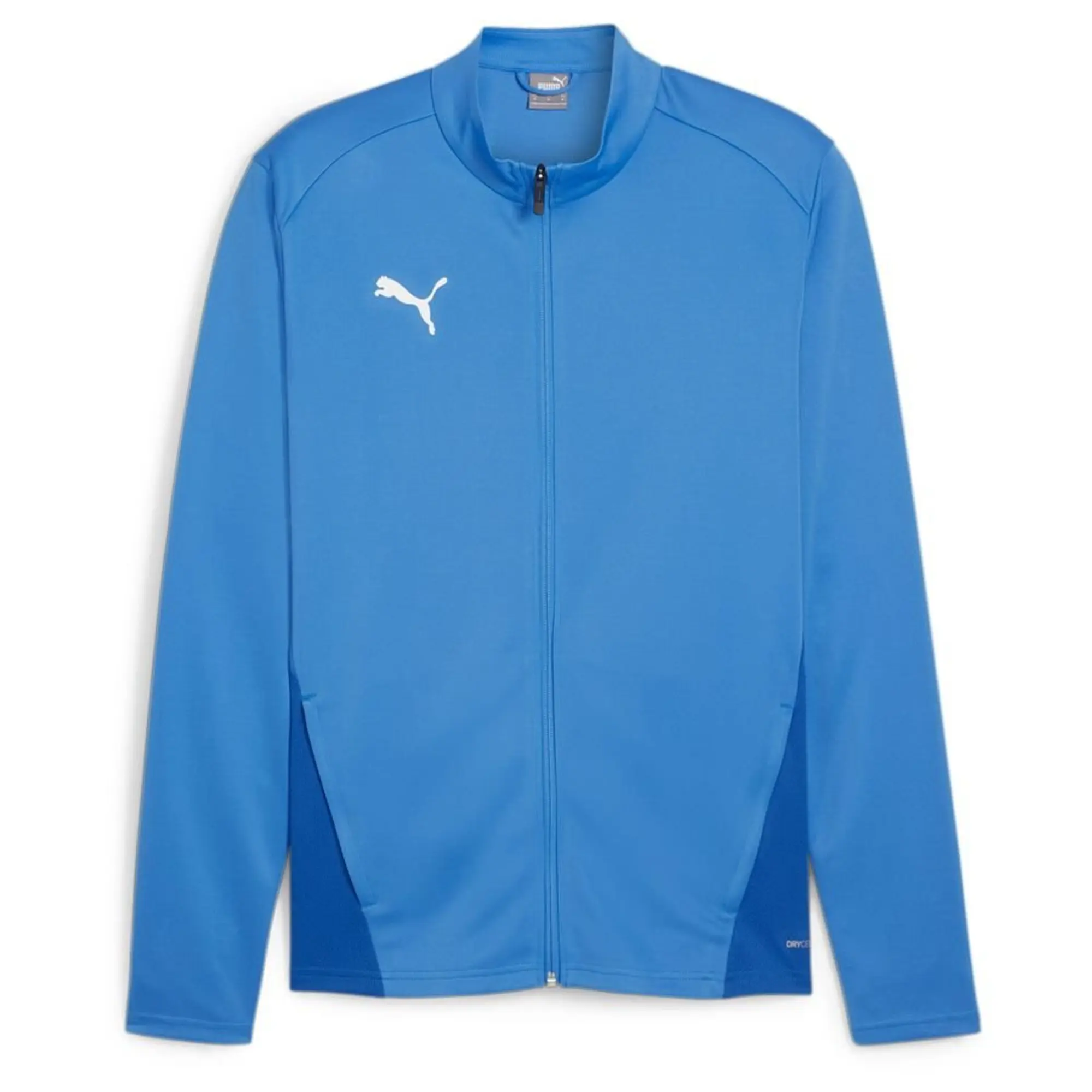 Puma teamGOAL 24 Training Jacket