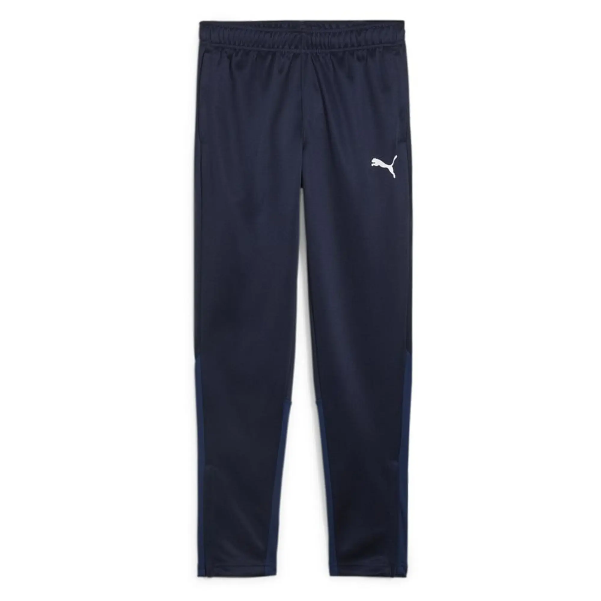 Puma Training Trousers Teamgoal - ['Blue']