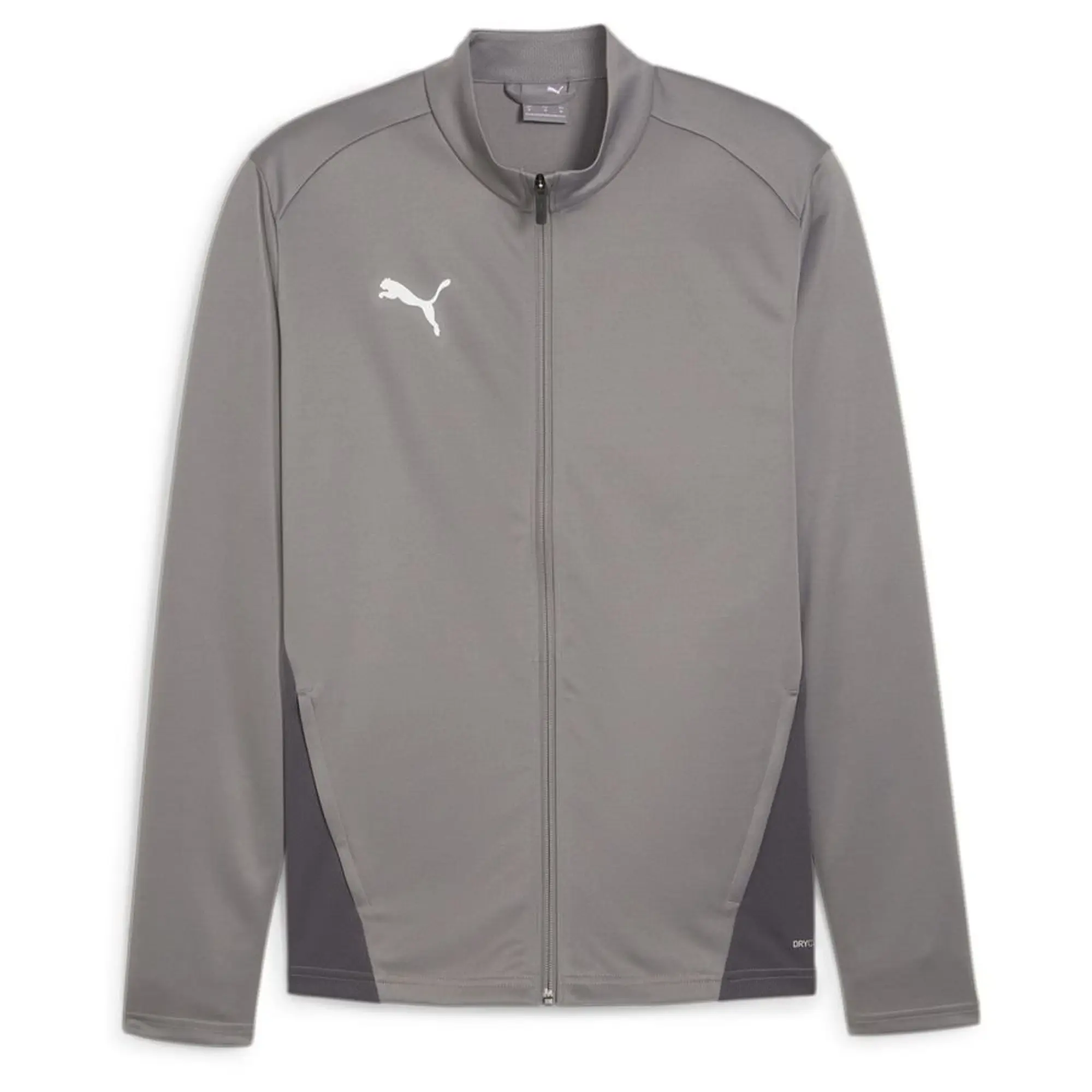 Puma teamGOAL 24 Training Jacket