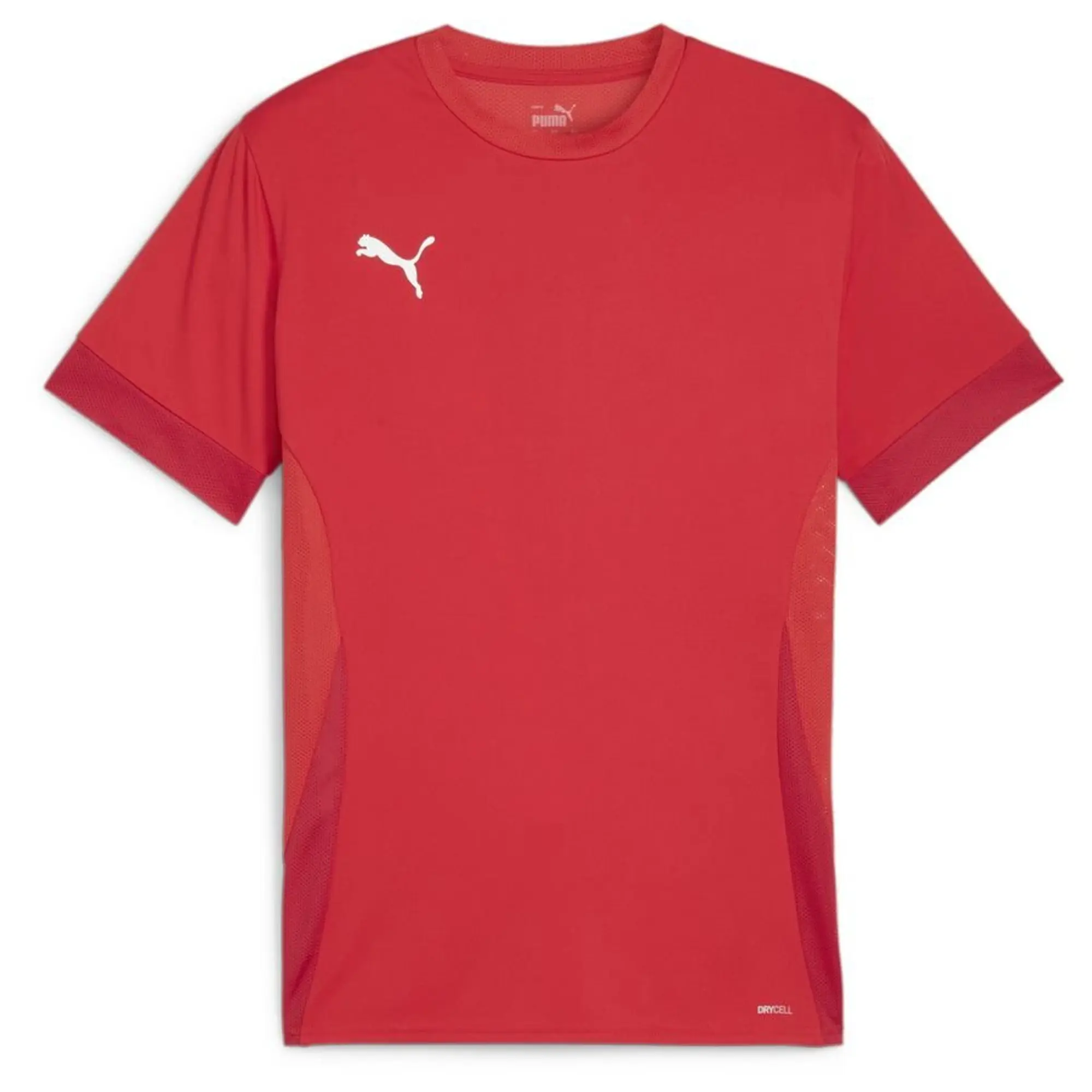 Puma teamGOAL 24 SS Shirt