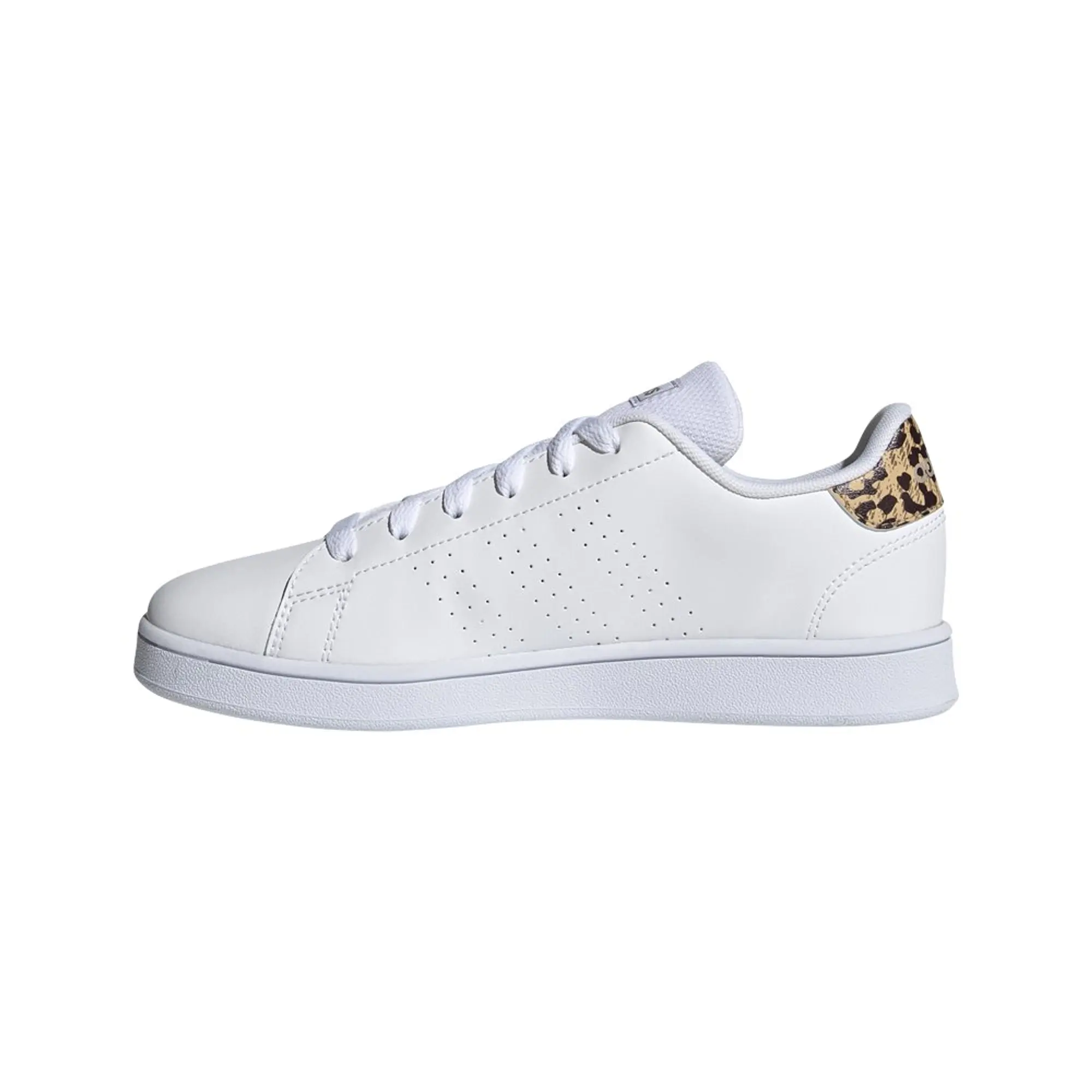 Adidas Advantage Trainers  - White