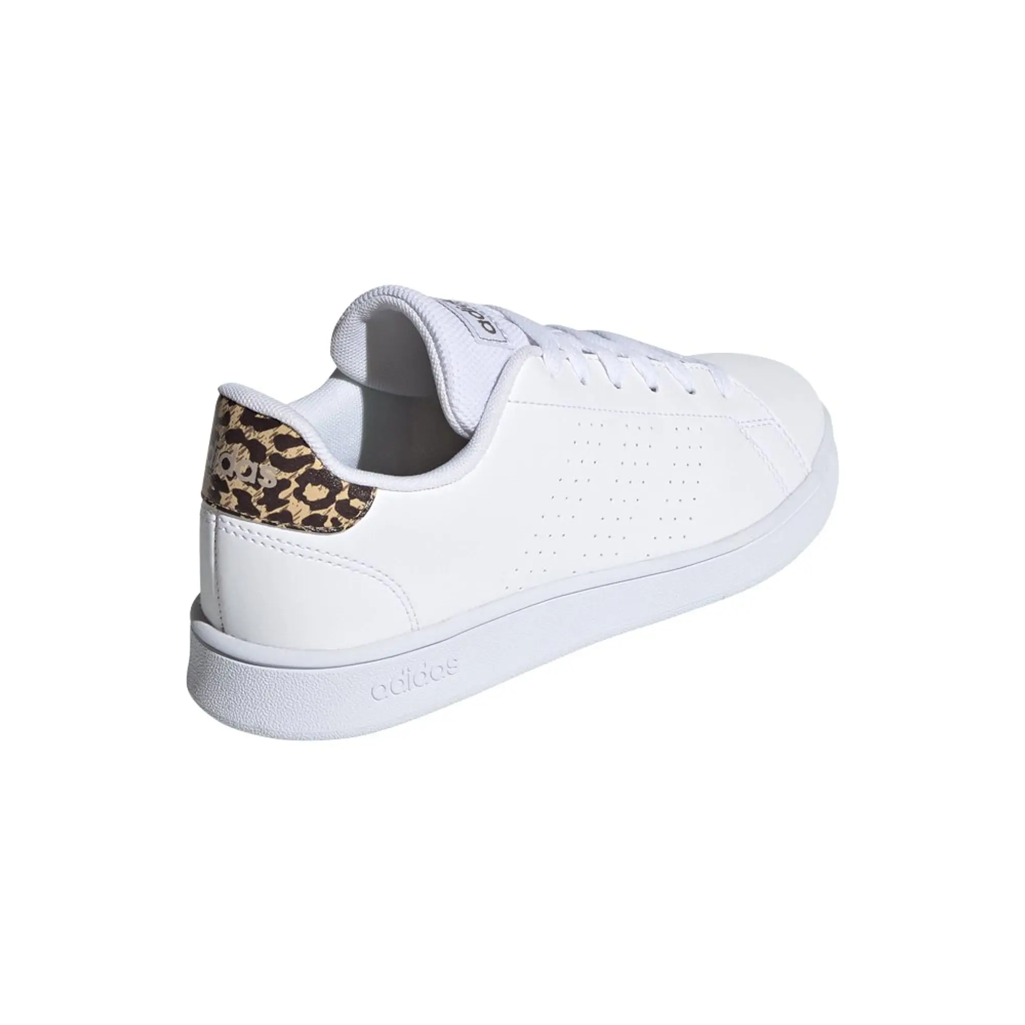 Adidas Advantage Trainers  - White