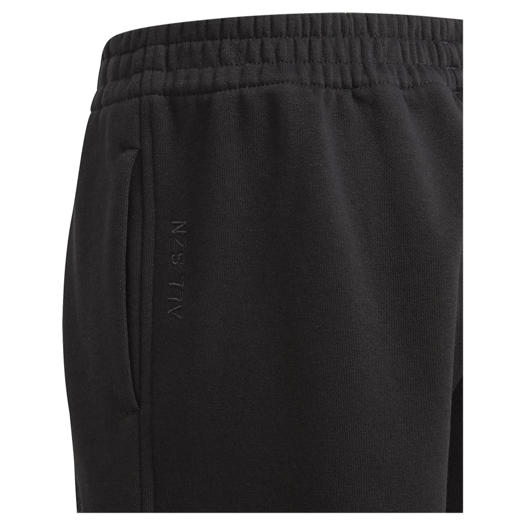 Adidas All Szn Pants