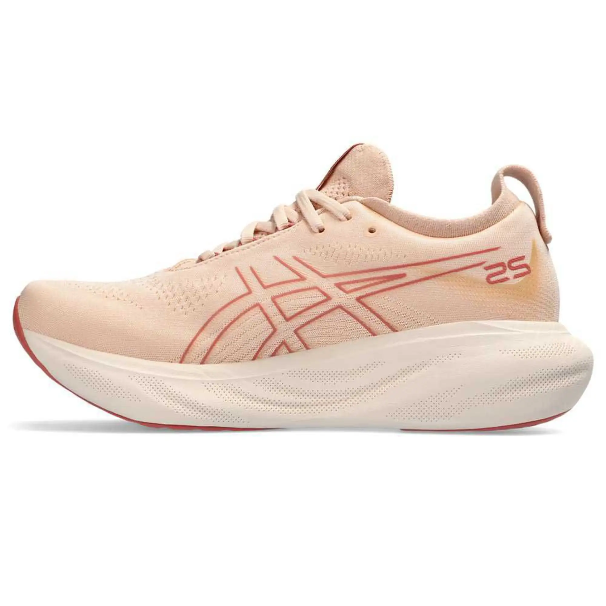 Asics Gel-nimbus 25 Running Shoes