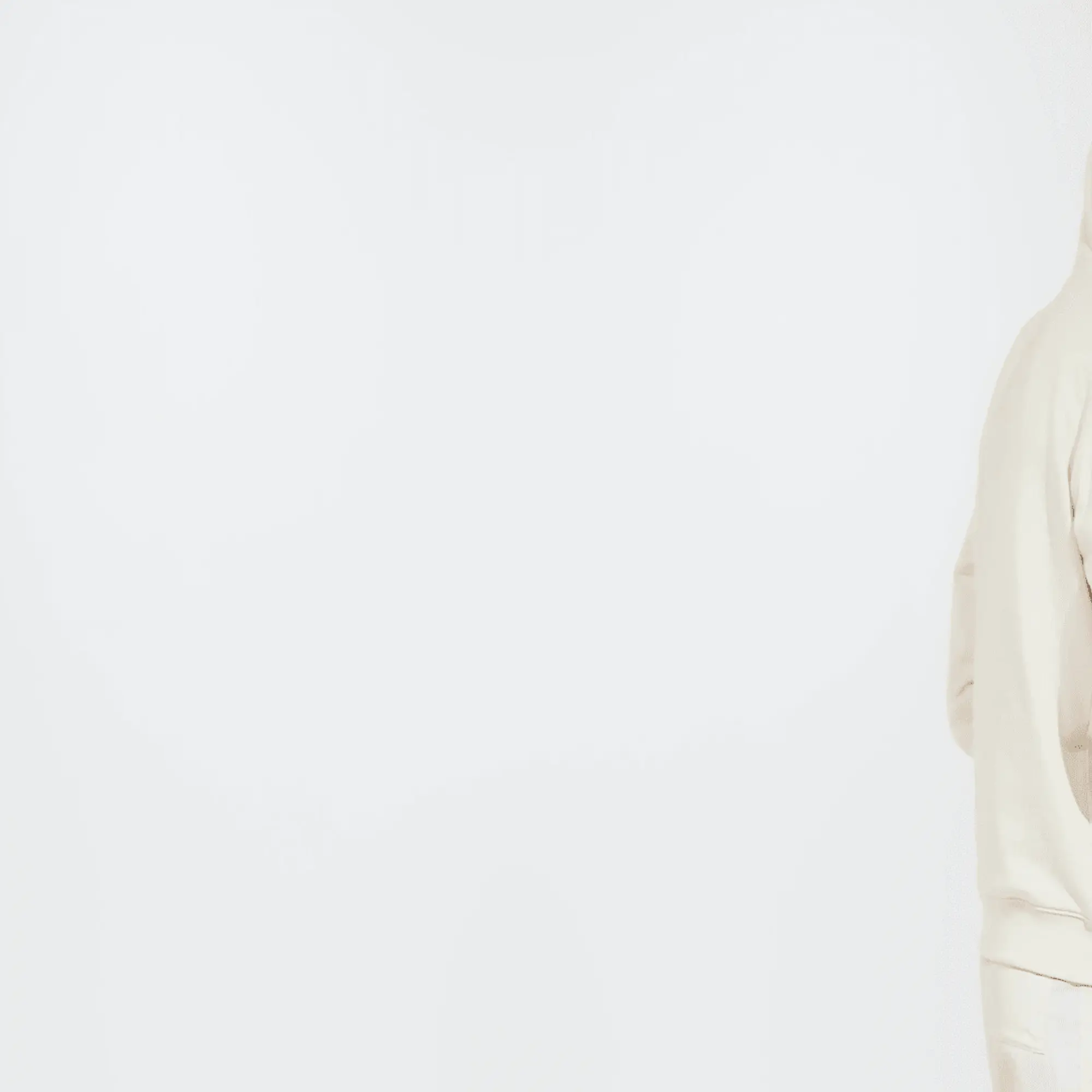 adidas Adicolor Classics Trefoil Hoodie