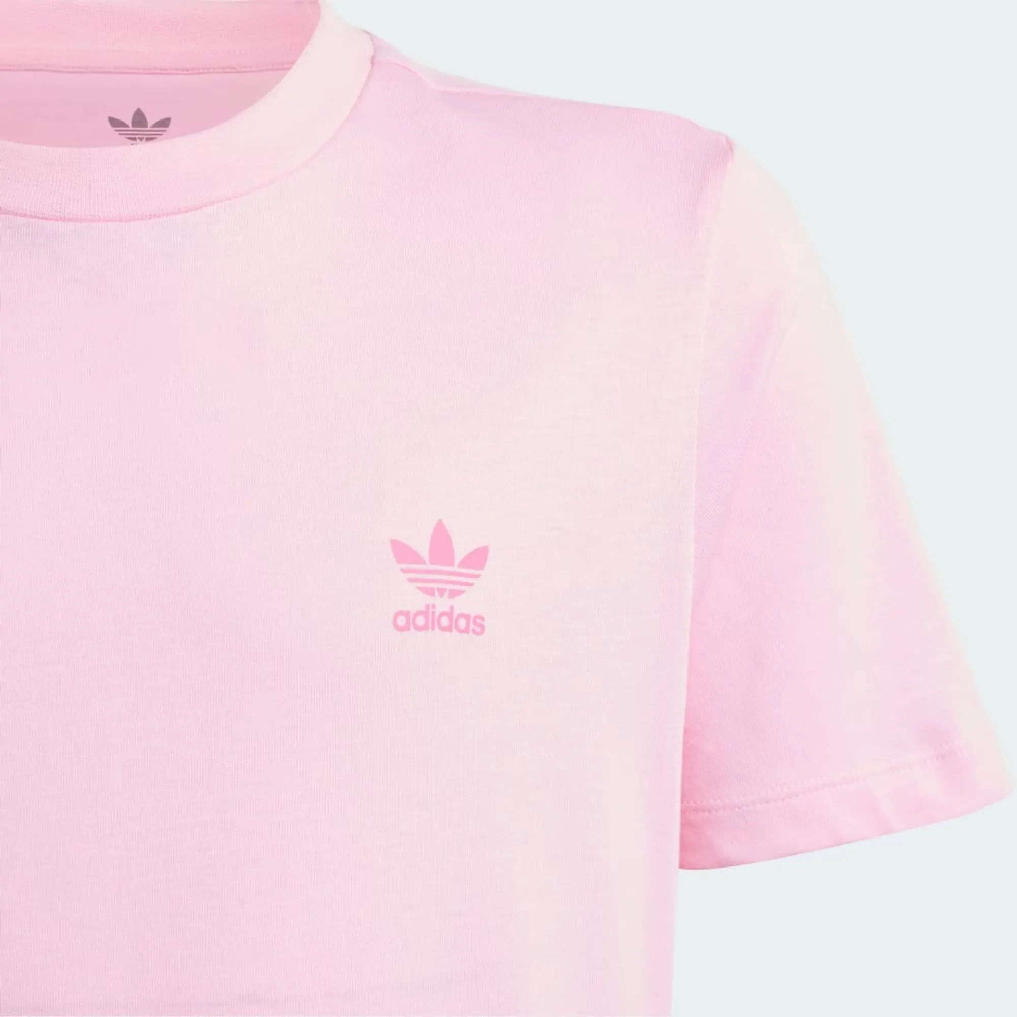 adidas Originals adidas Adicolor T-Shirt