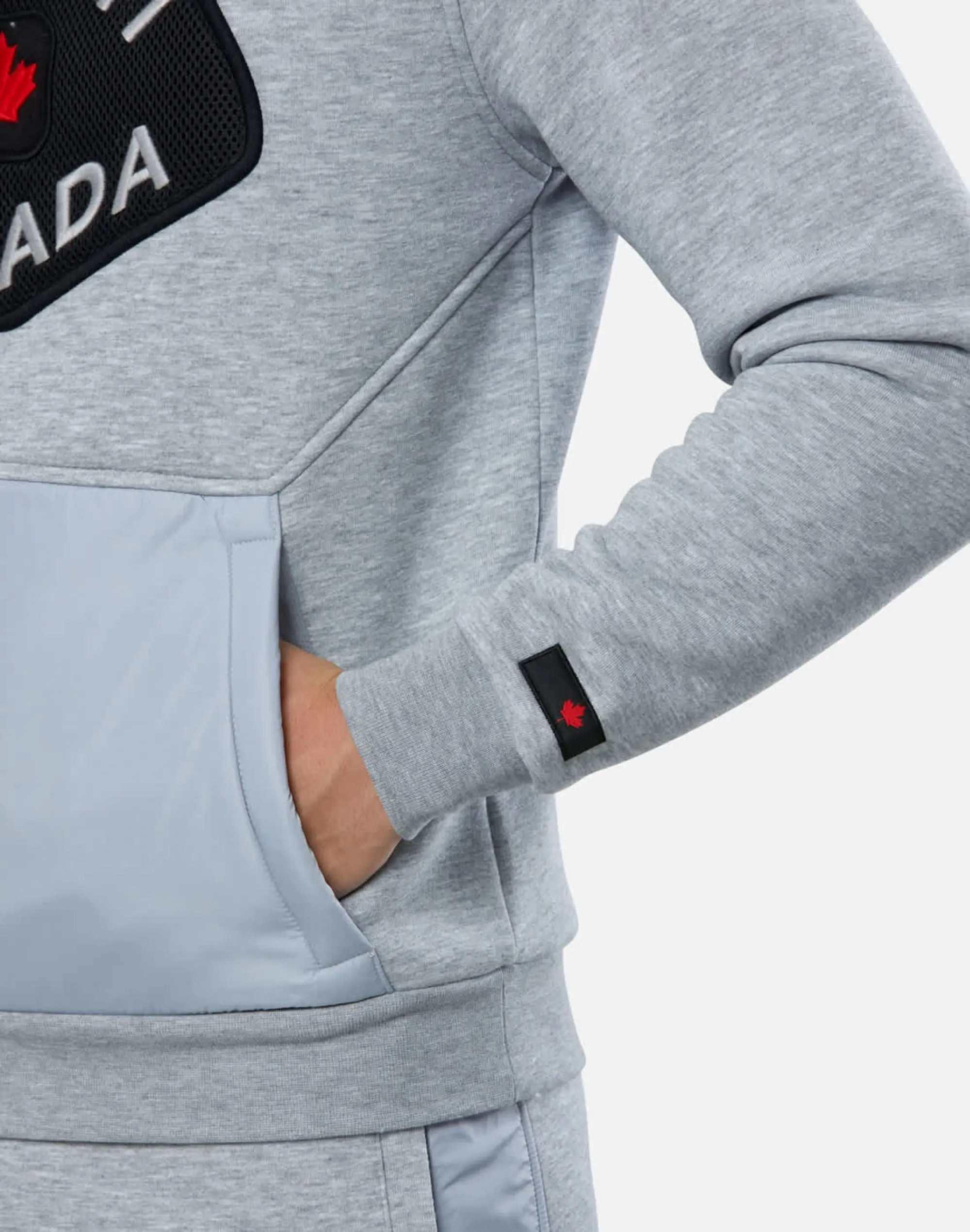 Men's Zavetti Canada Botticini Hoodie in Grey