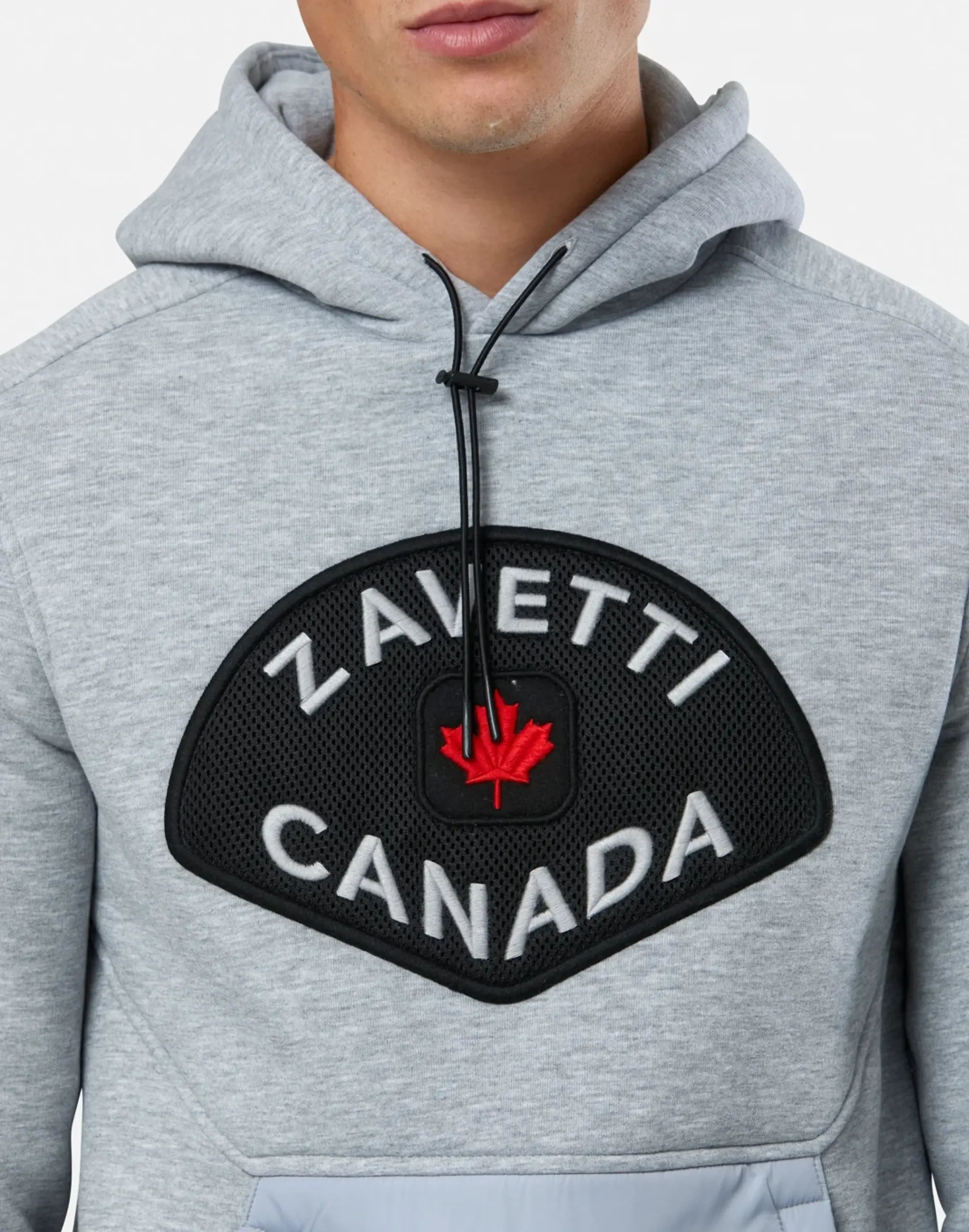 Men's Zavetti Canada Botticini Hoodie in Grey