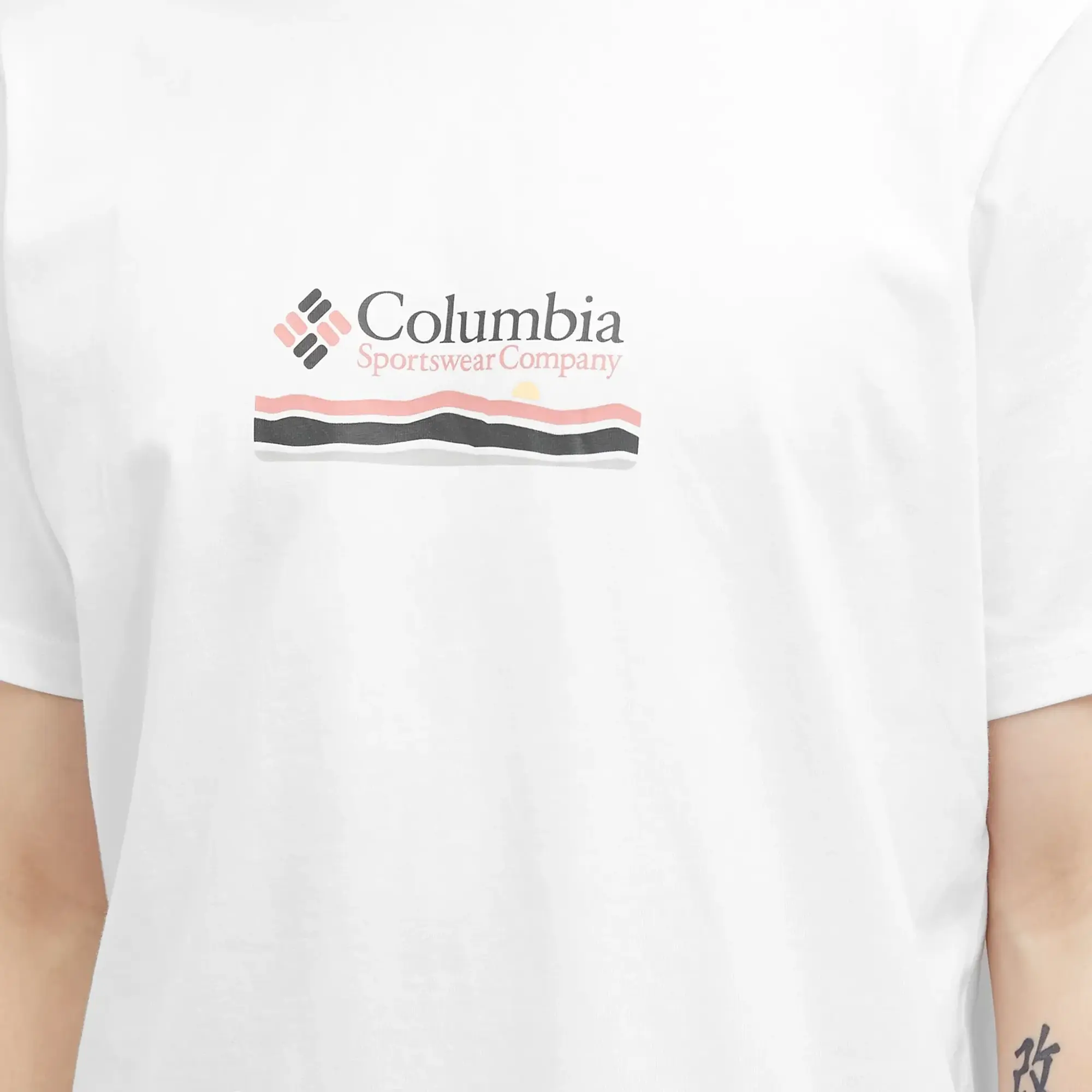 Columbia Explorers Canyon Mountain Back Print T-Shirt In White