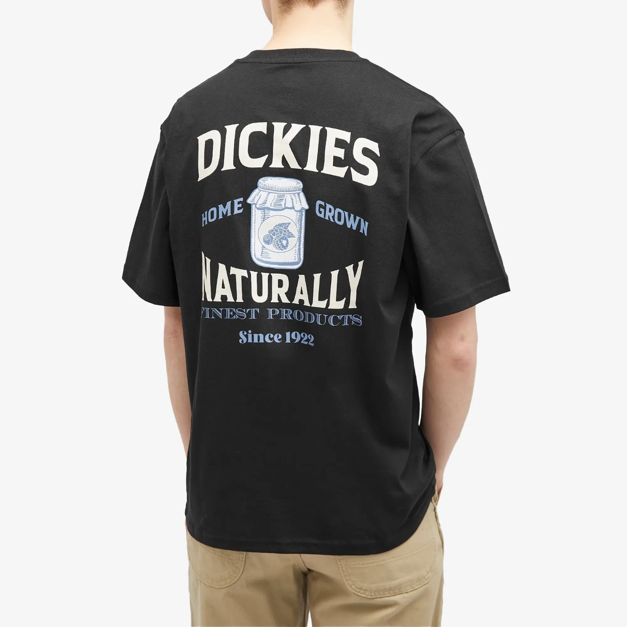 Dickies Elliston Short Sleeve T-shirt