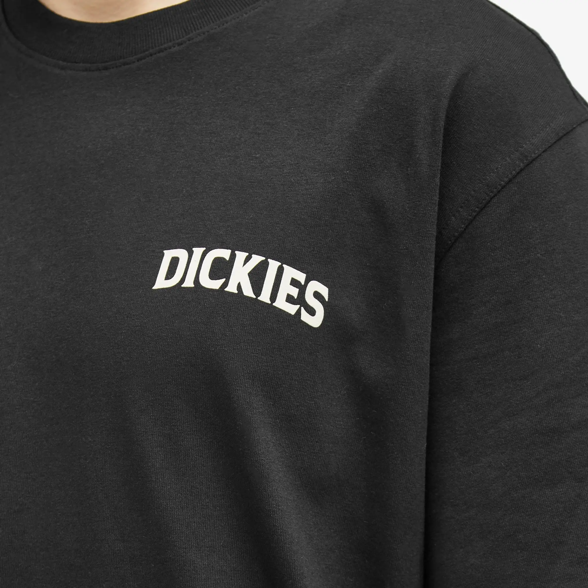 Dickies Elliston Short Sleeve T-shirt