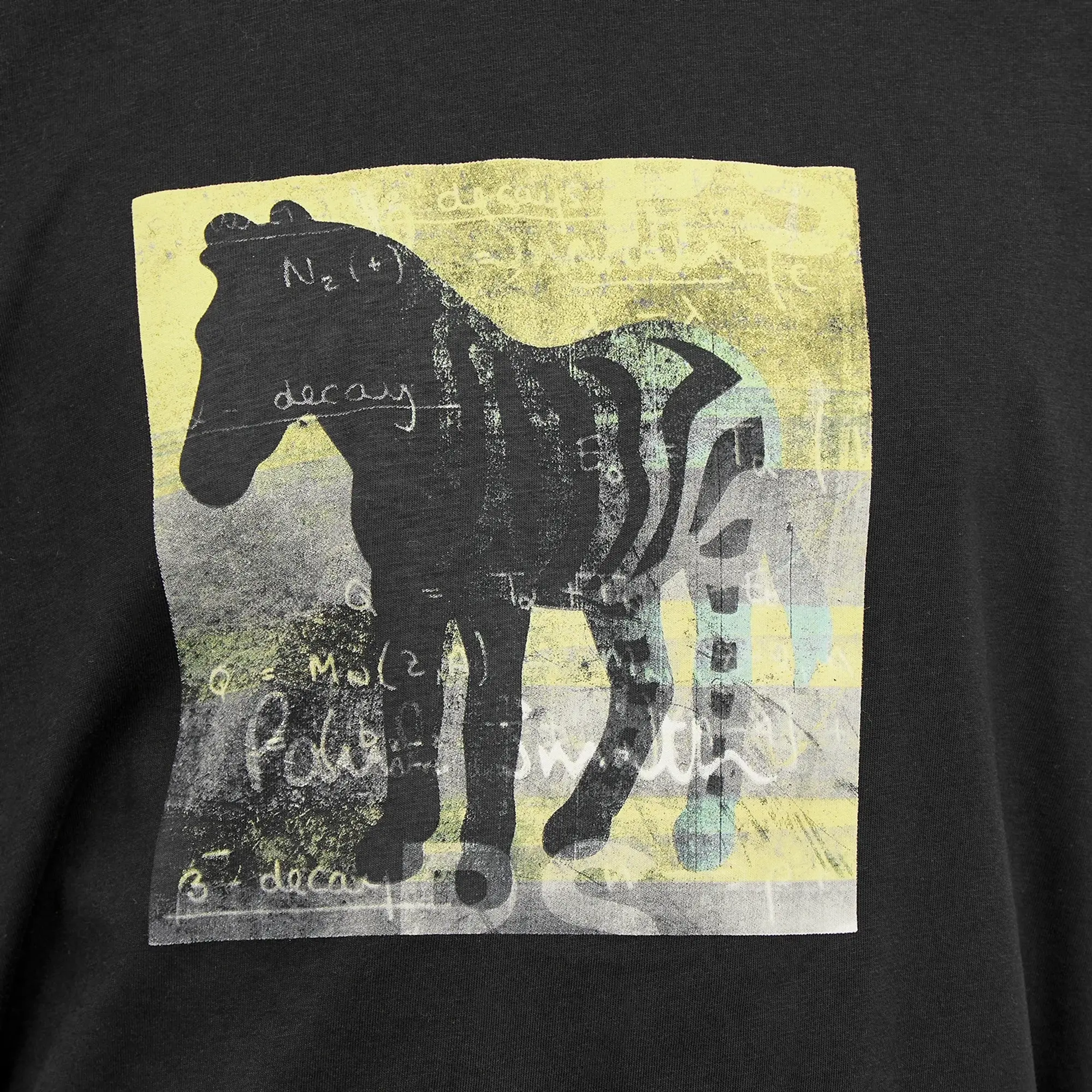PS PAUL SMITH Zebra Square Regular Fit T-shirt - Black , Black