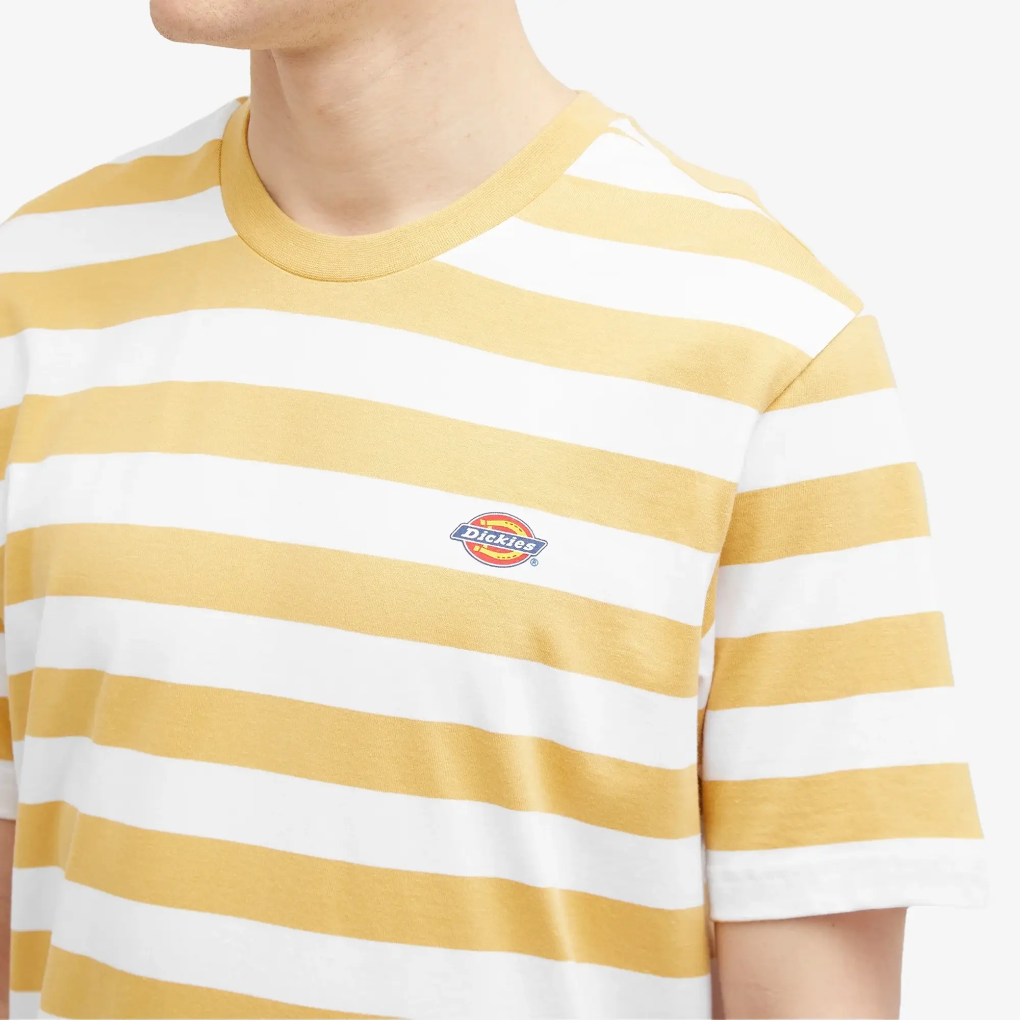 Dickies Rivergrove Short Sleeve T-shirt