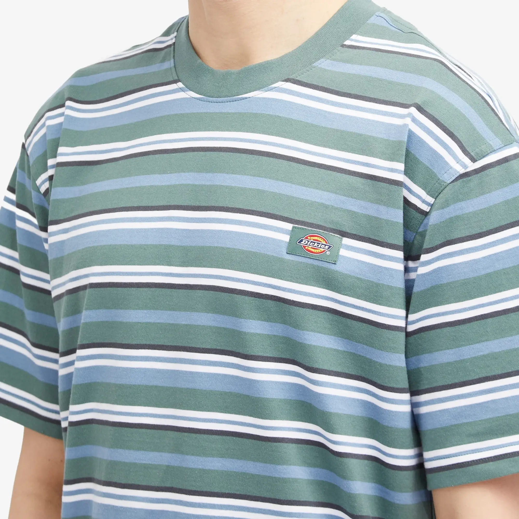 Dickies Glade Spring Short Sleeve T-shirt