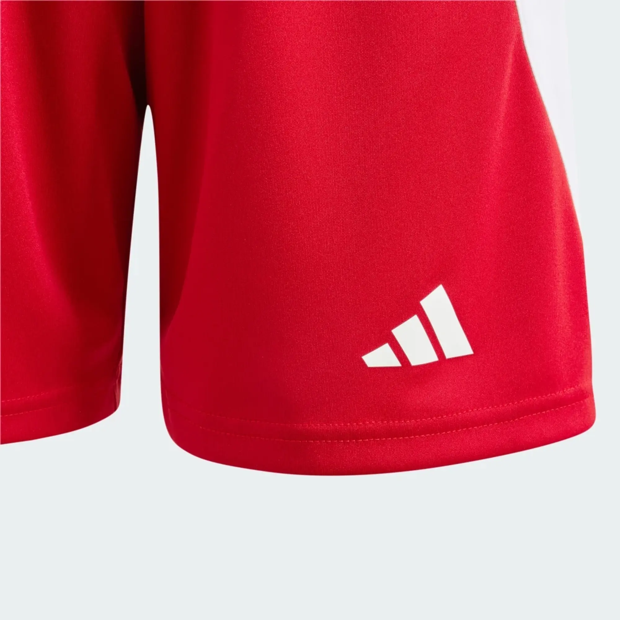 adidas Junior Fortore 23 Shorts