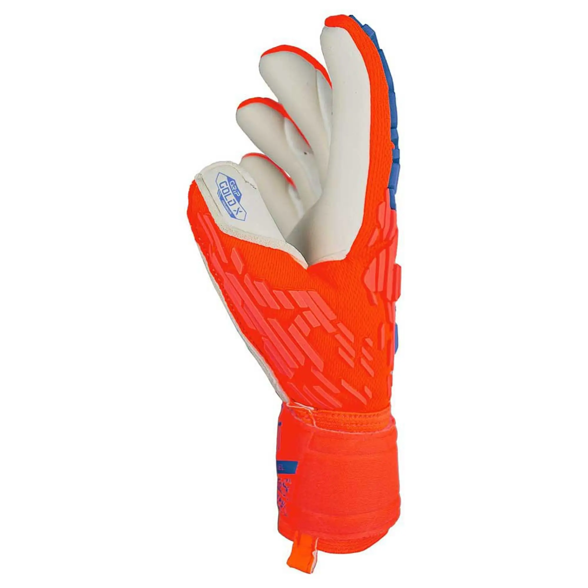 Reusch Attrakt Gold X Freegel GK Gloves