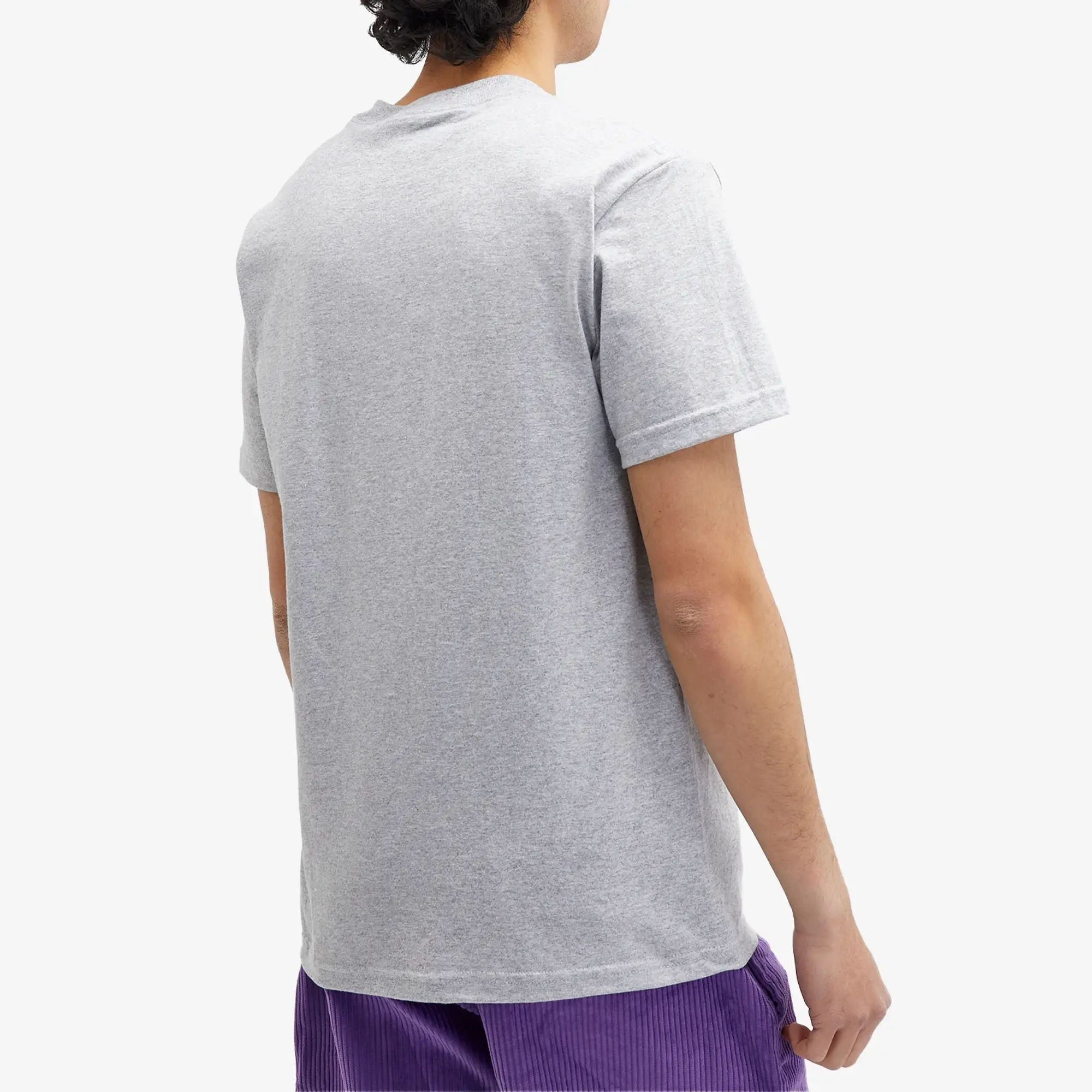 Pleasures Men's Notify T-Shirt Grey