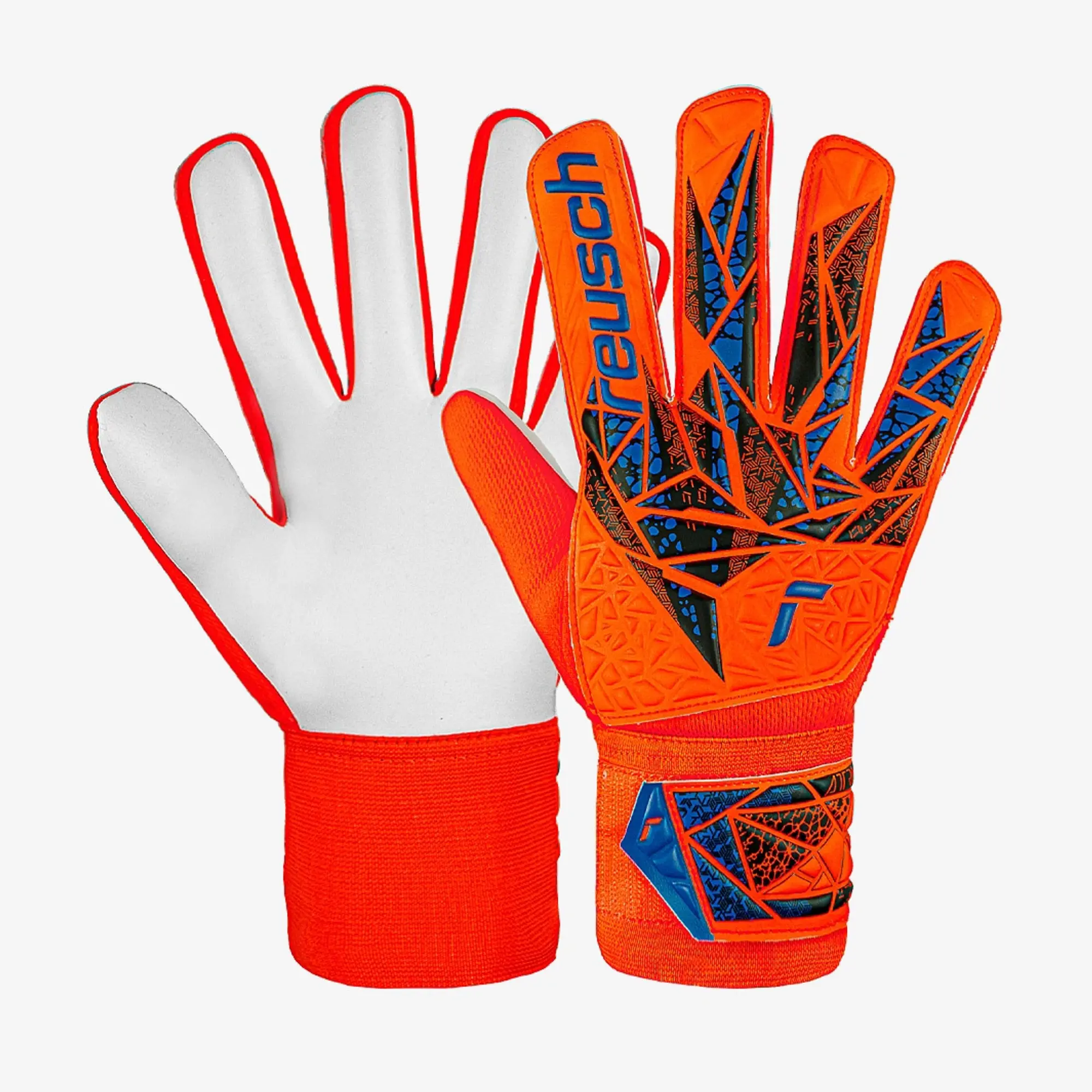 Reusch Attrakt Starter Solid