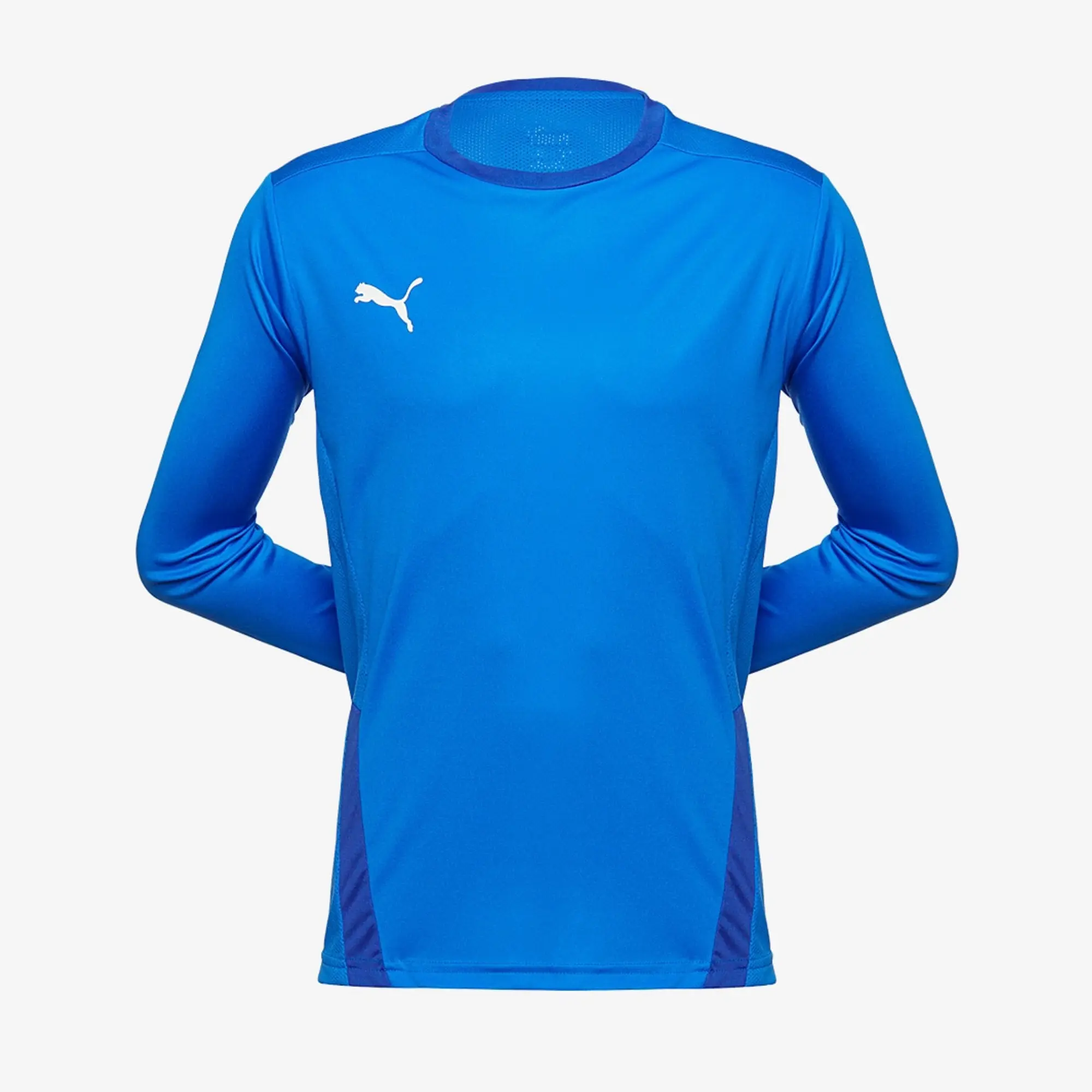 Puma Junior teamGOAL 23 LS Shirt