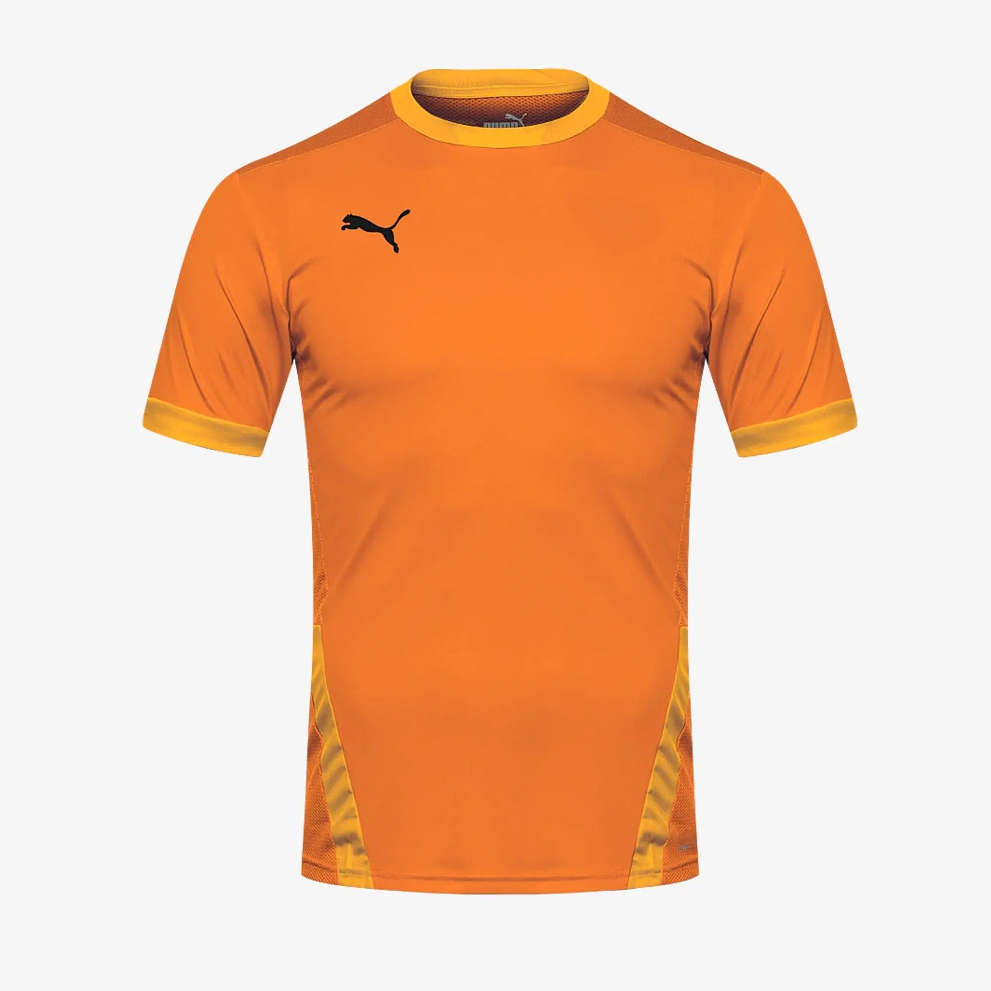 Puma teamGOAL 23 SS Shirt