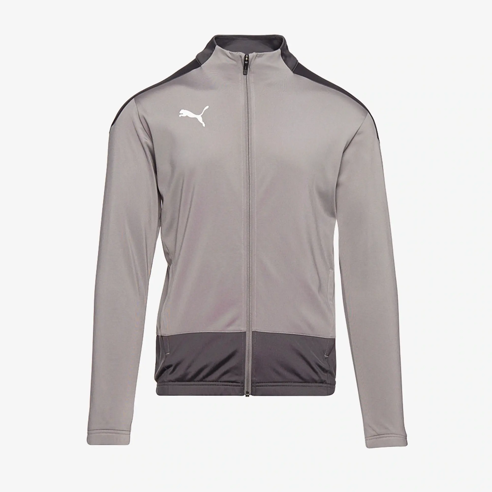 Puma teamGOAL 23 Slim Training Jacket