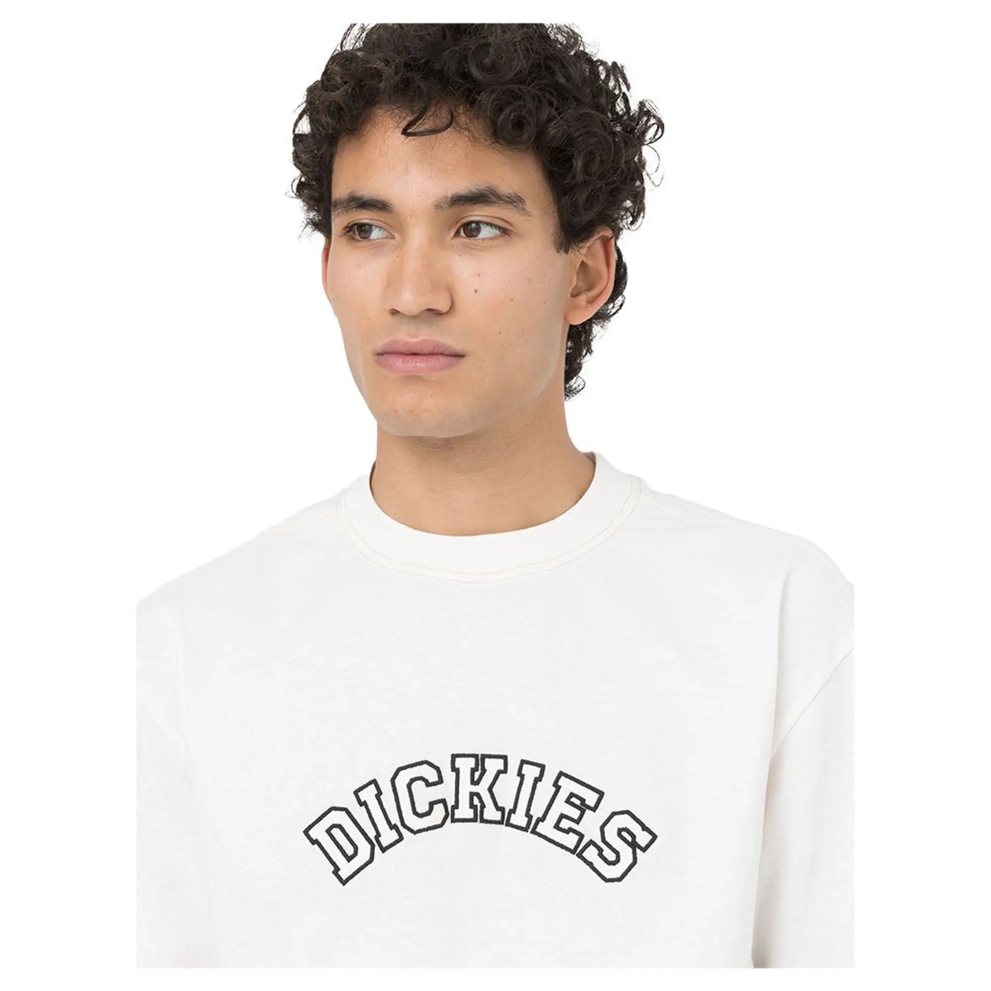 Dickies West Vale Tee