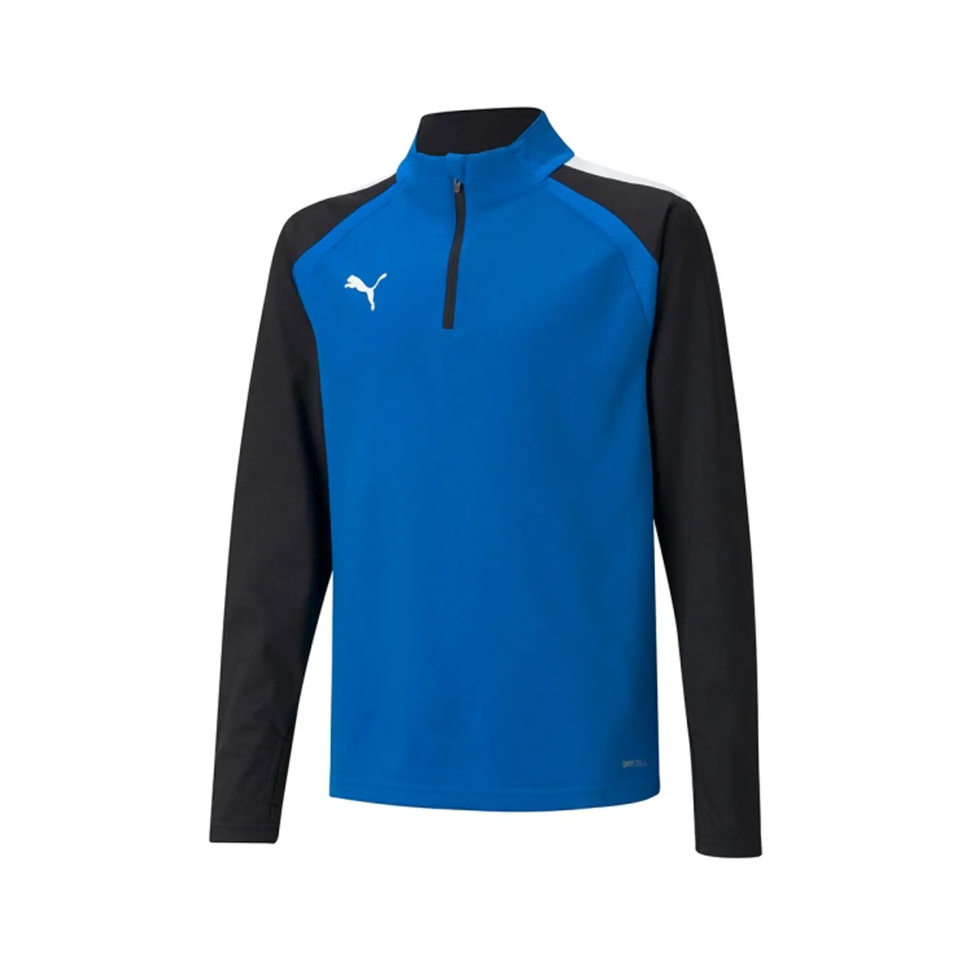 Puma Junior teamLIGA Training Jacket