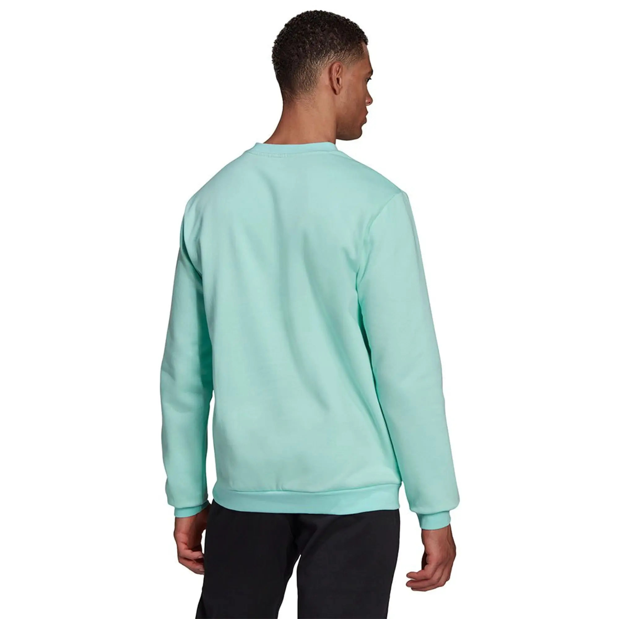adidas Entrada 22 Sweatshirt