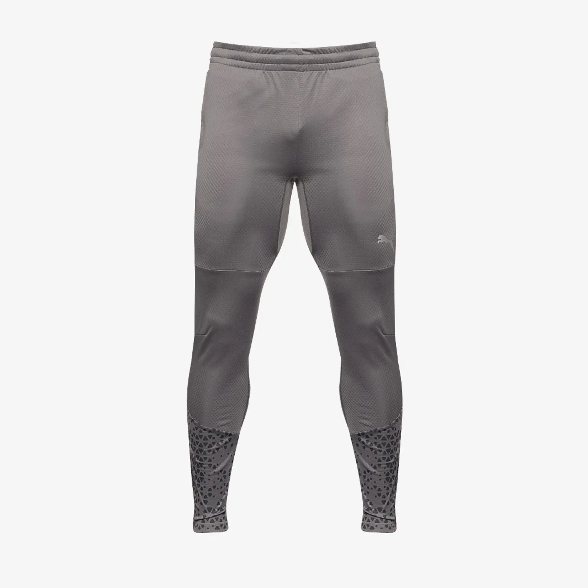 Puma teamCUP Slim Training Pants