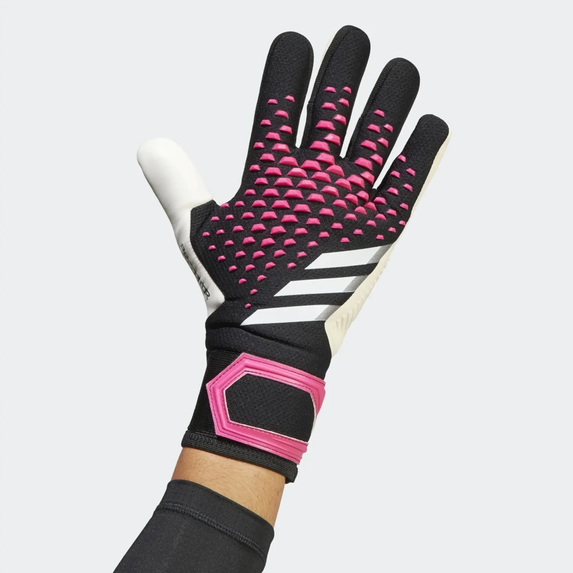 adidas Predator Competition GK Gloves