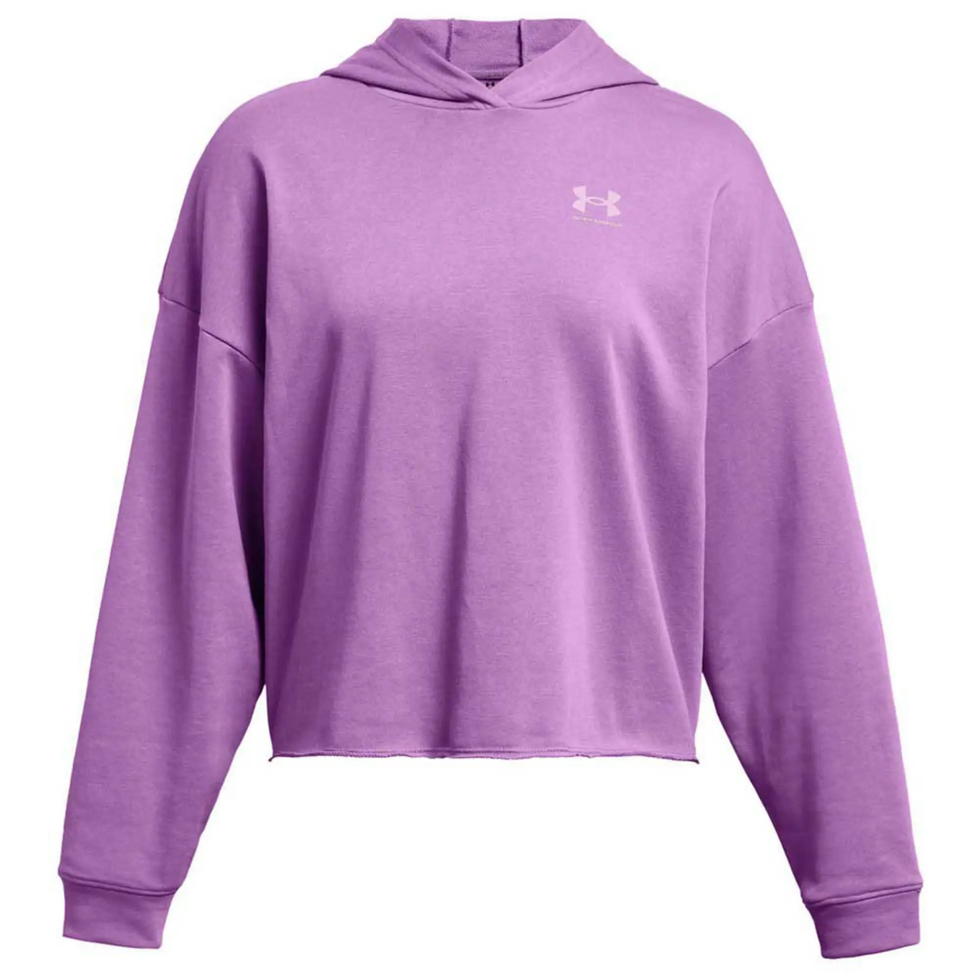 Under Armour Rival Hoodie, Purple/Purple Ace