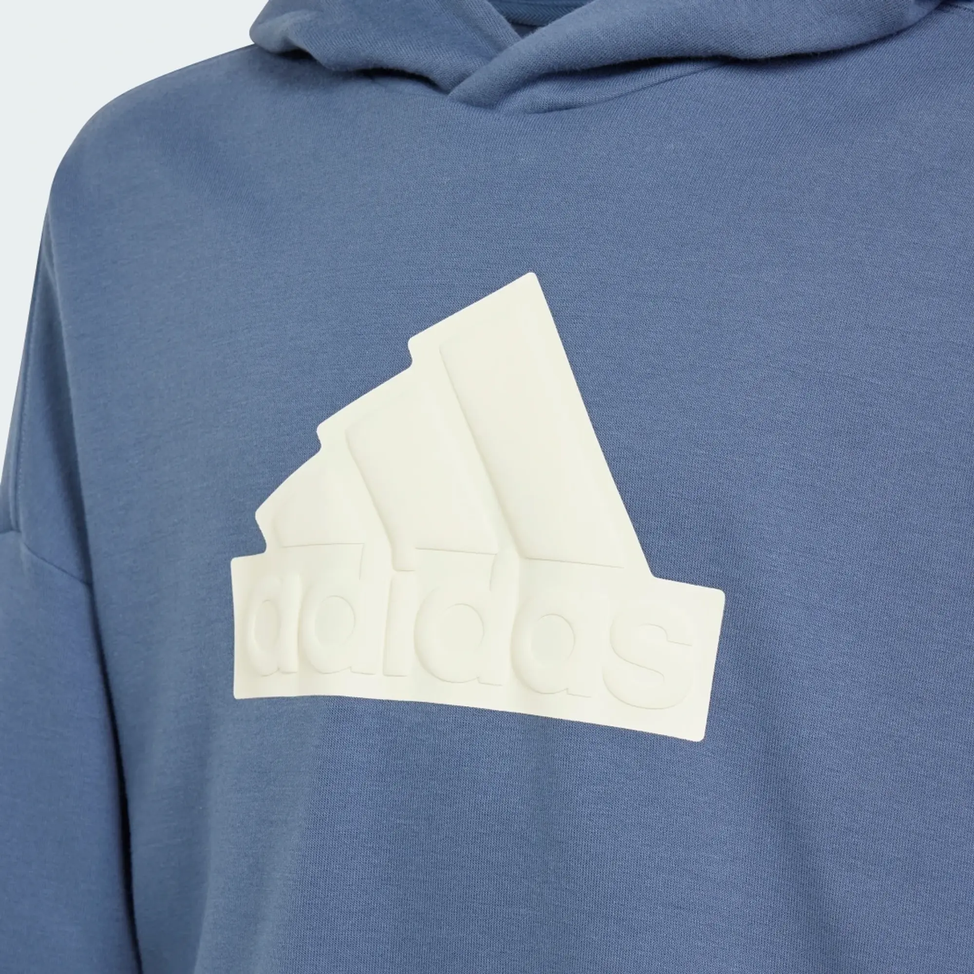 adidas Future Icons Logo Hooded Sweatshirt