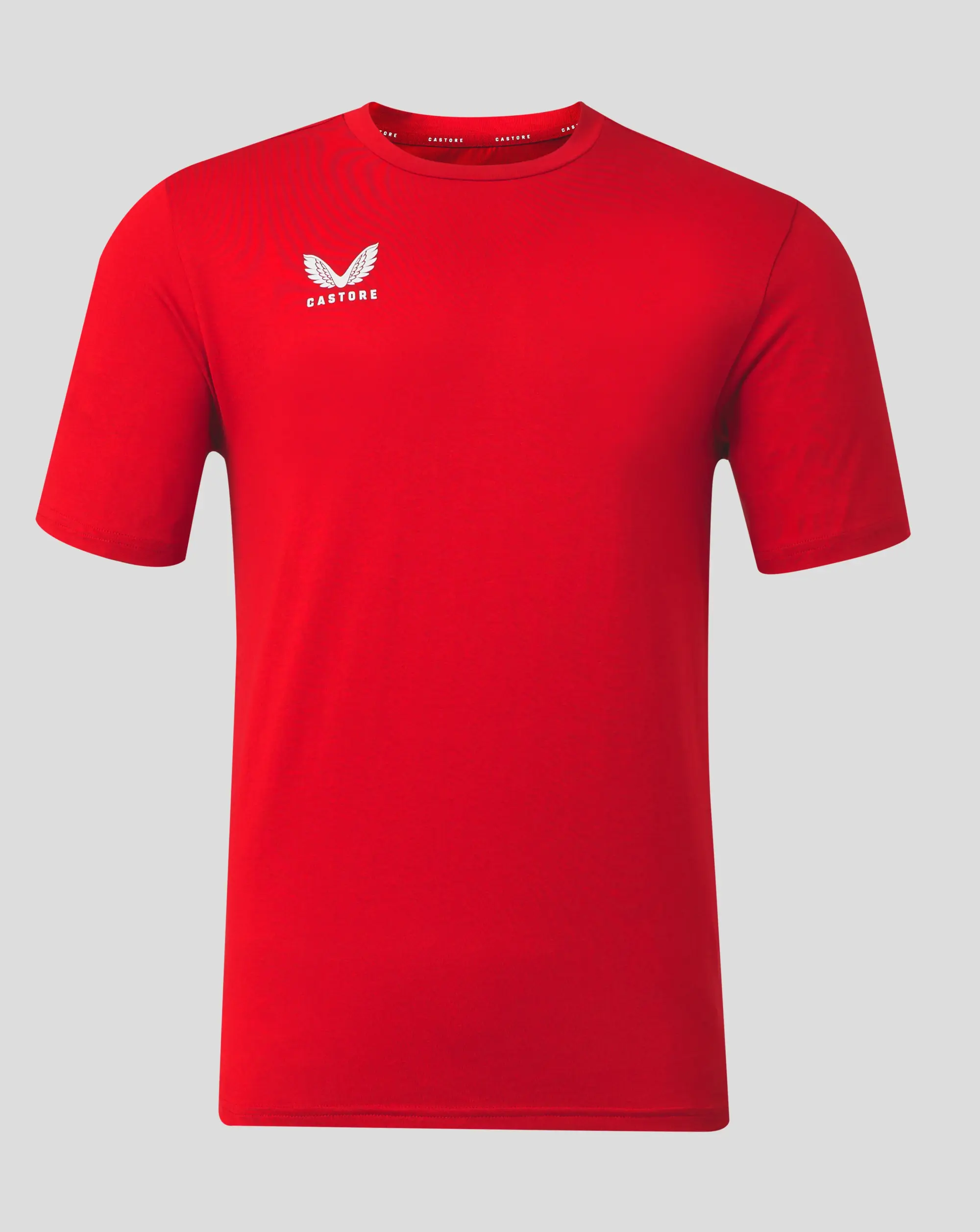 Castore Mens Cotton Leisure Tee - High Rise