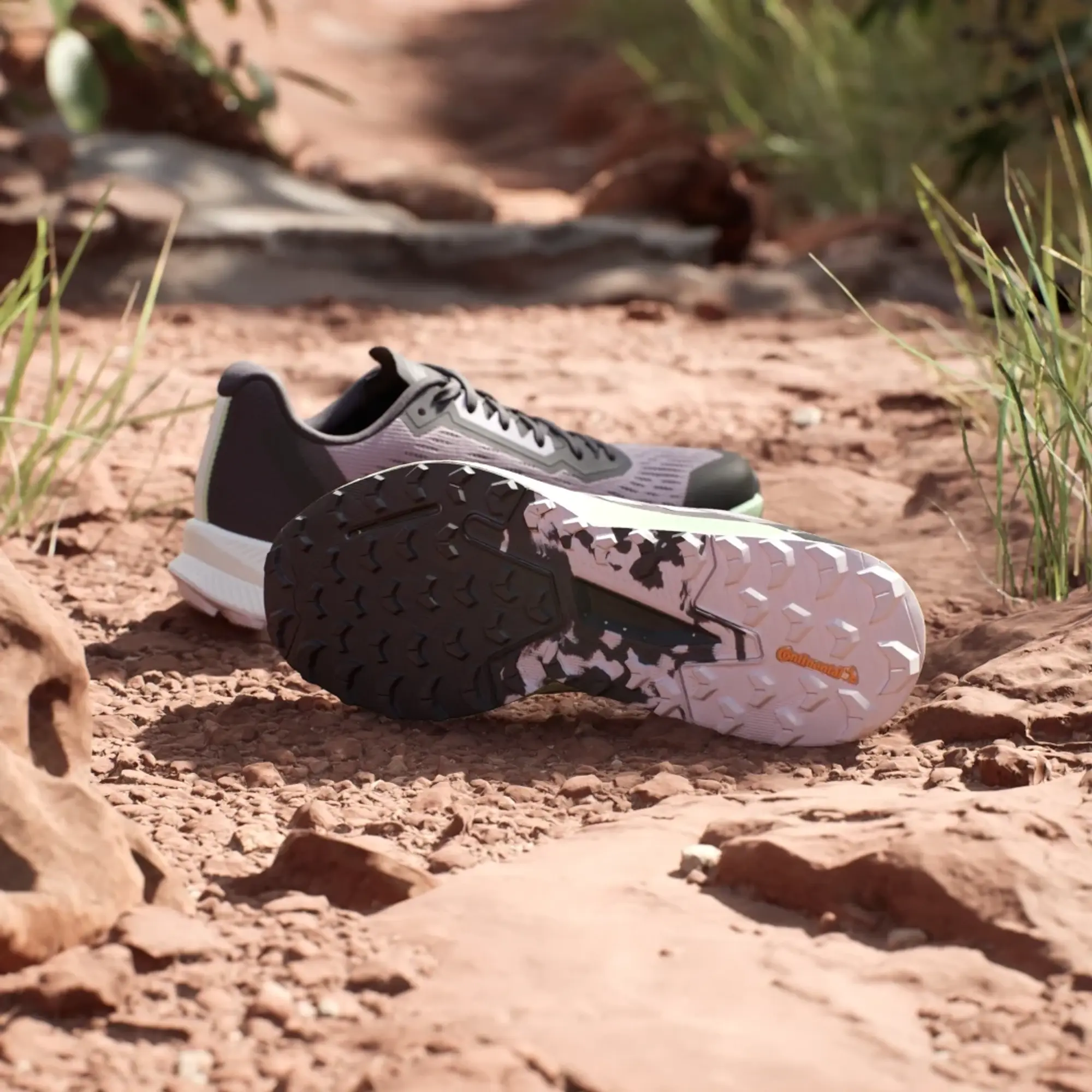 adidas Terrex Agravic Flow 2.0 Trail Running Shoes in Purple