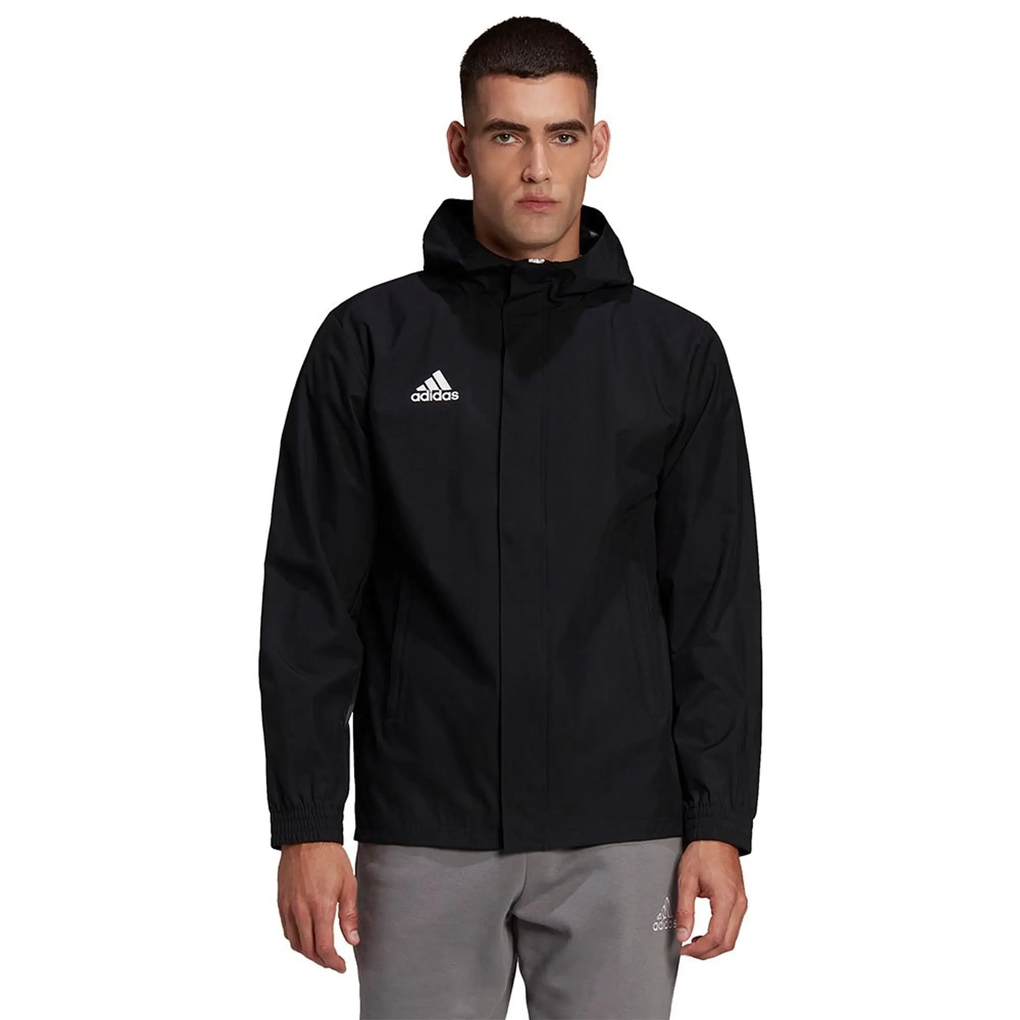 Adidas Entrada 22 Aw Jacket  - Black
