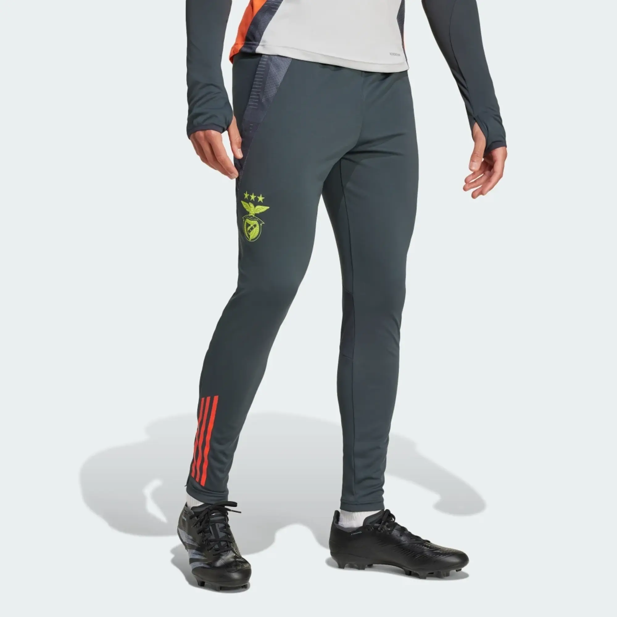 Adidas Benfica 24/25 Tracksuit Pants