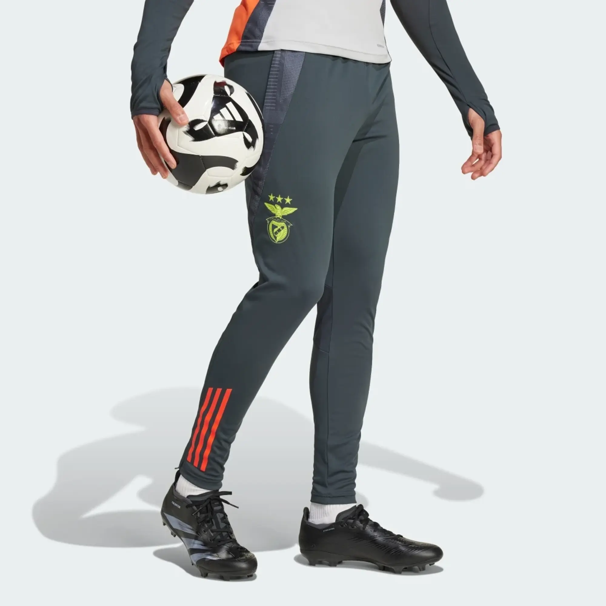 Adidas Benfica 24/25 Tracksuit Pants