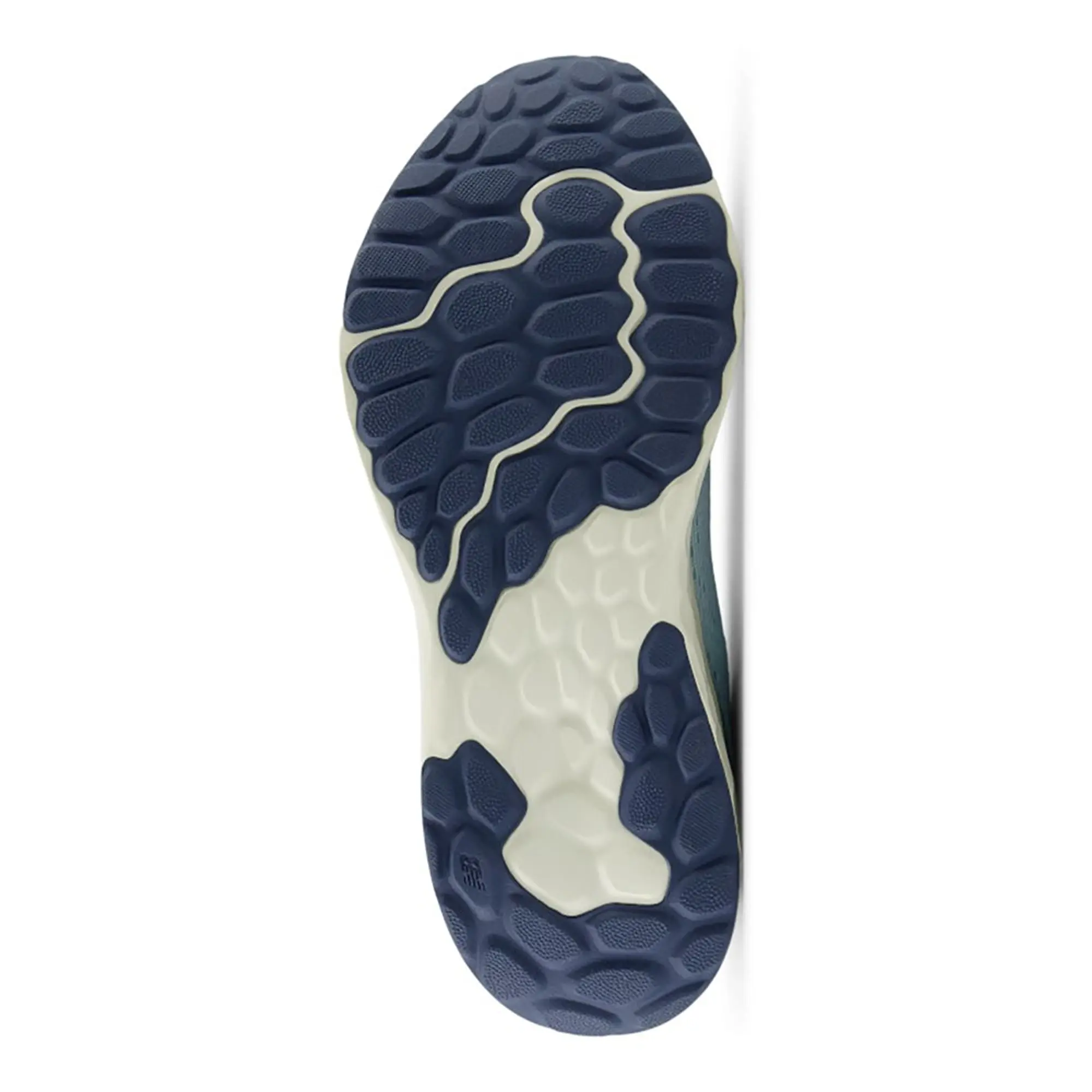 New Balance Fresh Foam Arishi v4 Women's Running Shoes