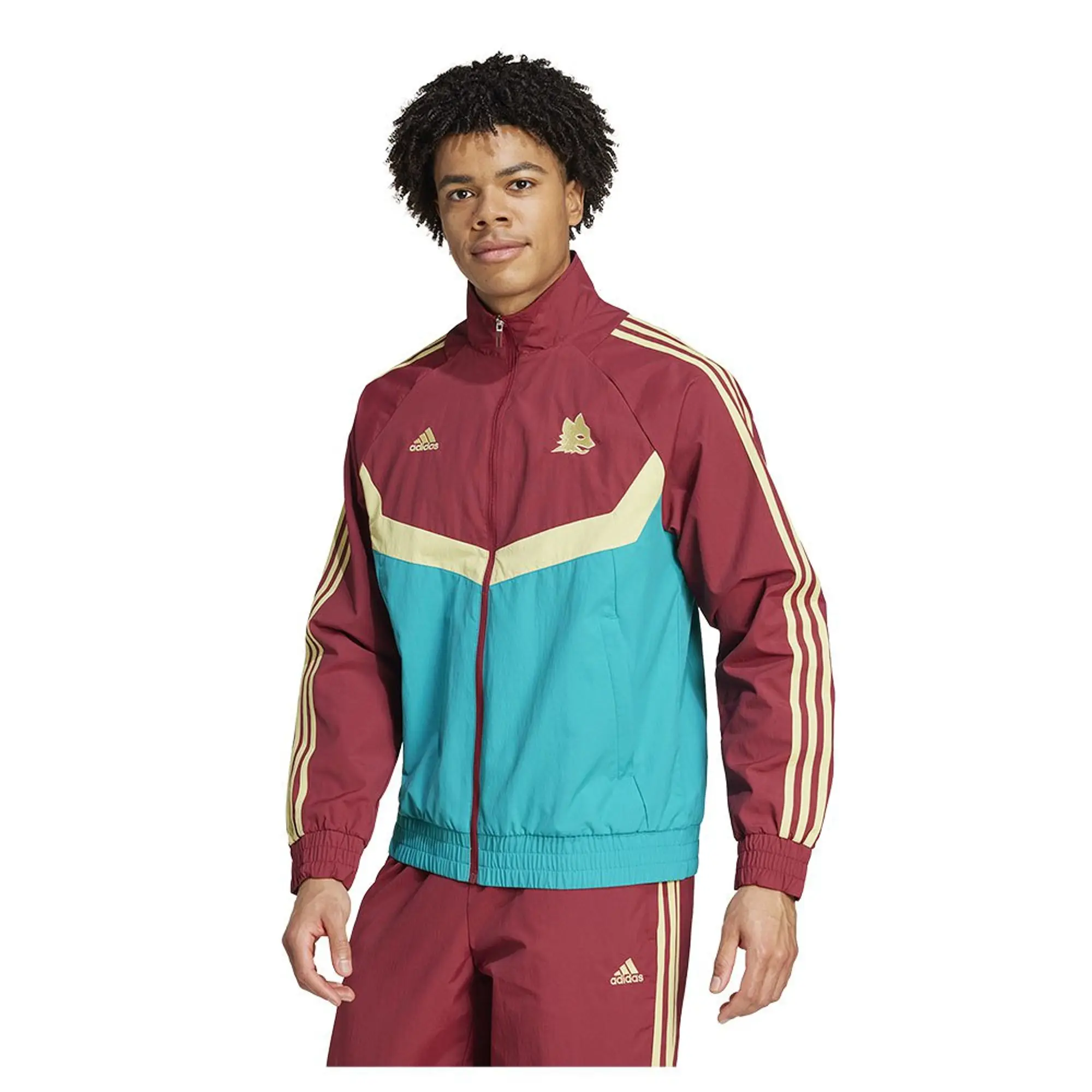 ジャケット・アウター roma dd71af168341.jpg?width=3840&