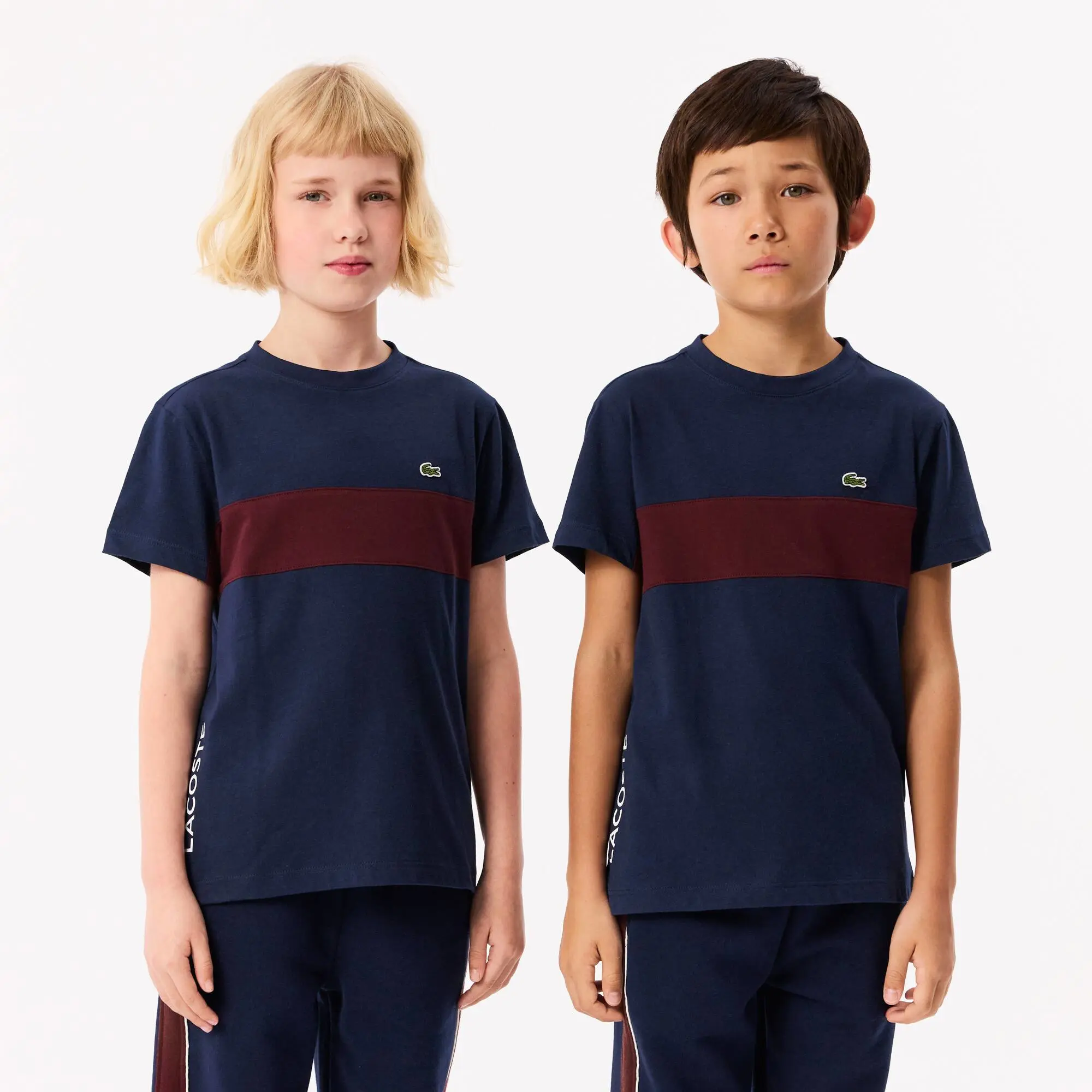 Lacoste Contrast Stripe Cotton T-shirt - Navy Blue / Bordeaux