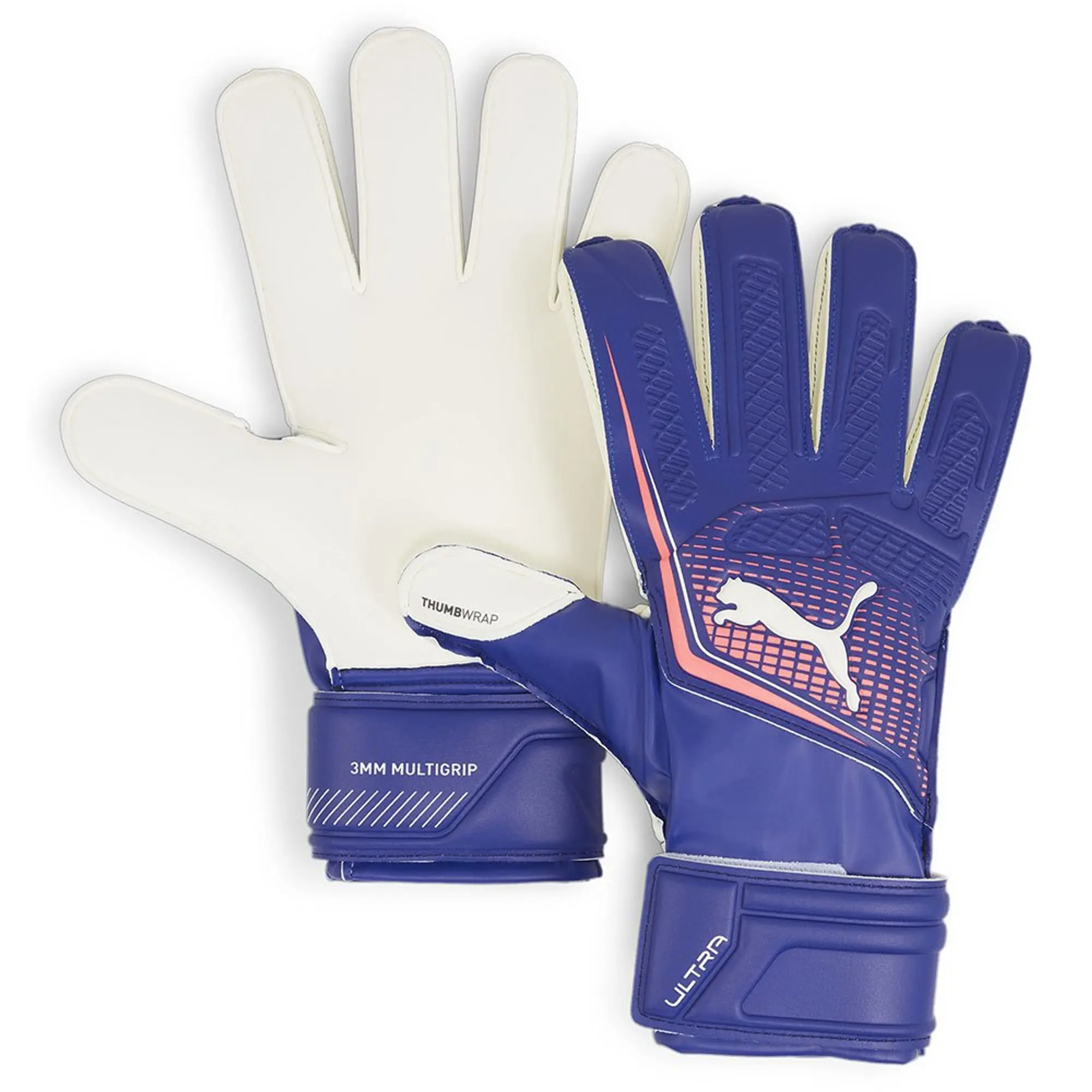 Jordan pickford goalkeeper gloves online